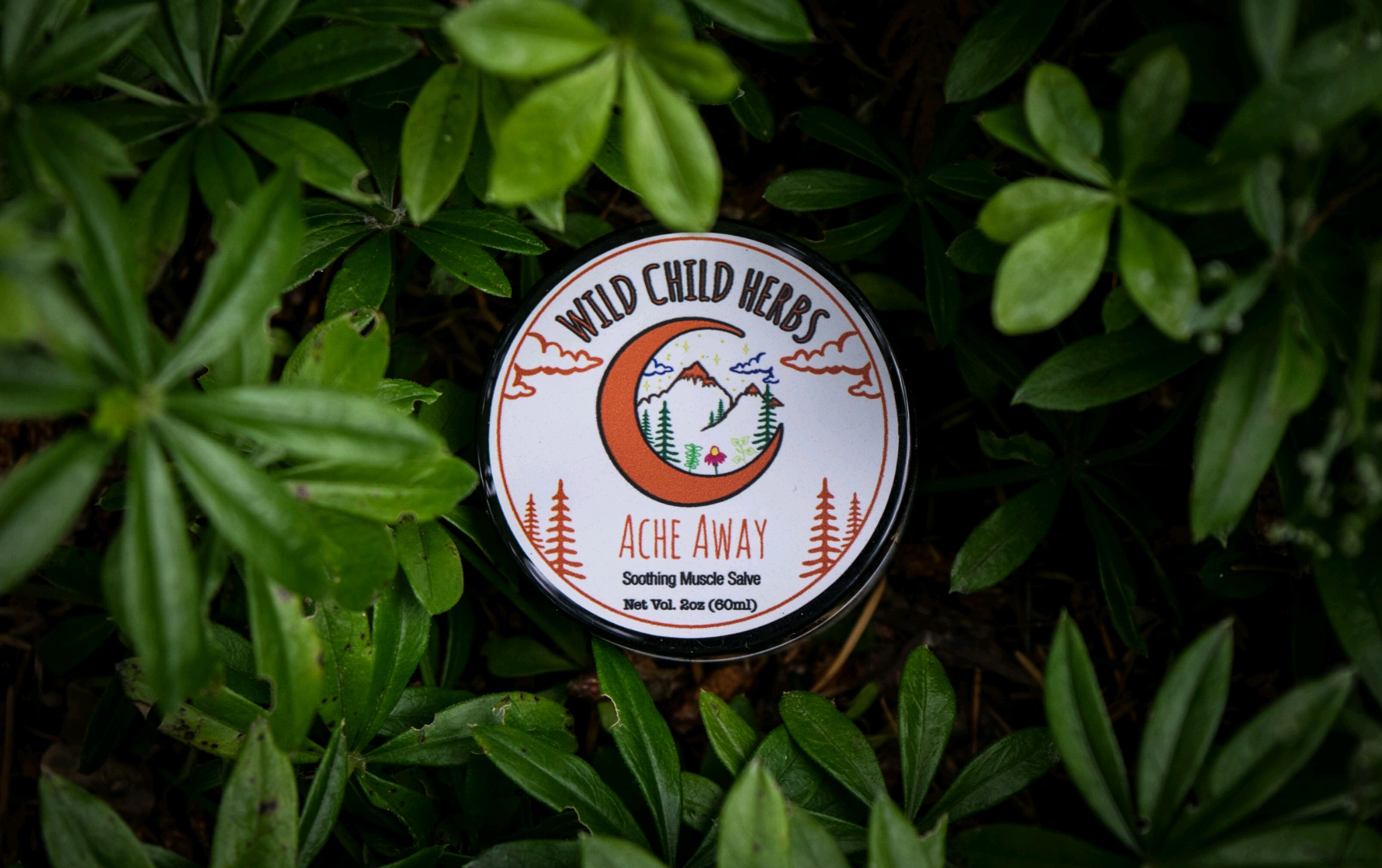 Ache Away Salve 2 Oz 1.jpeg