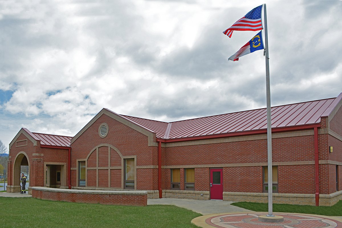 Bee Tree-photo 1.jpg