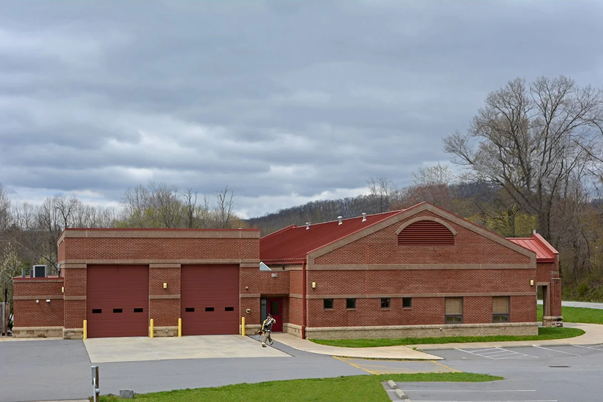 Bee Tree-photo 2.jpg