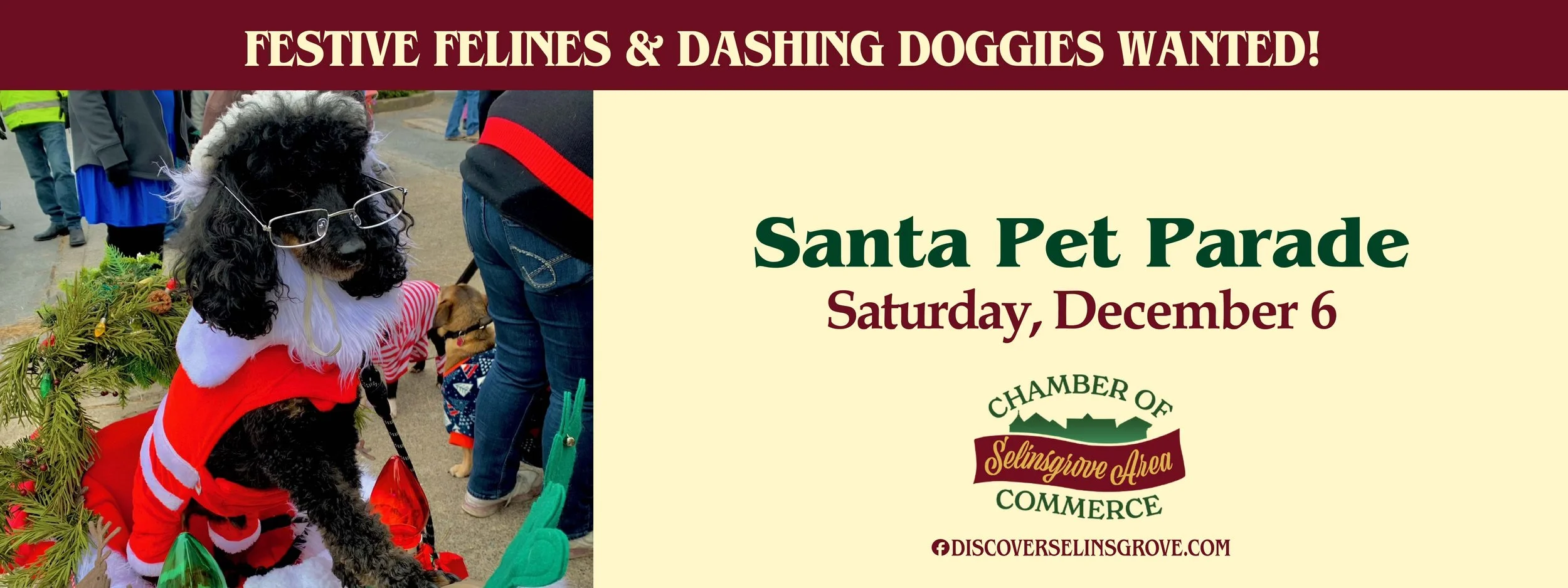 D-SACC Holiday_2025_Pet Parade.jpg