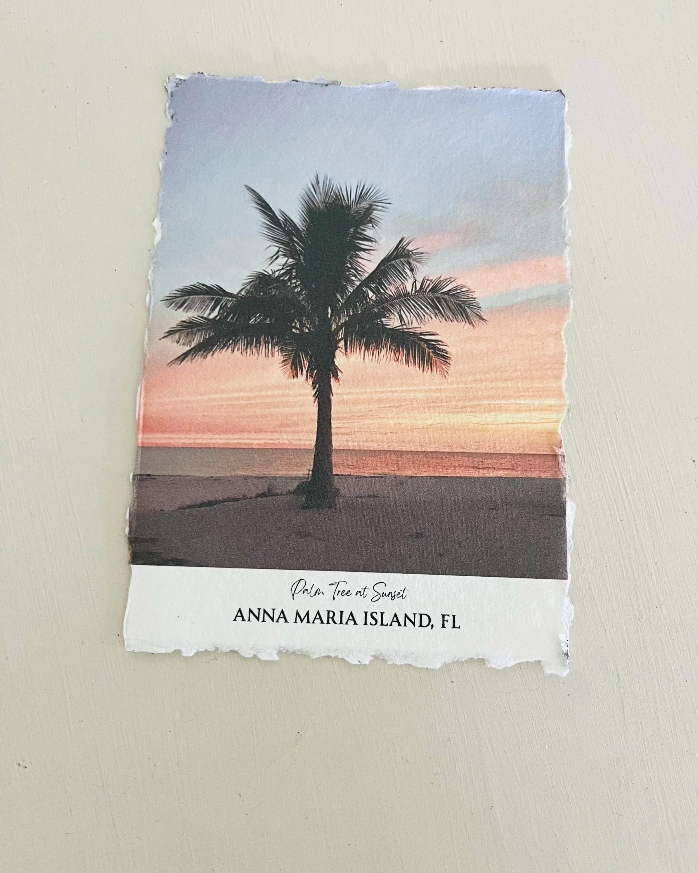 Palm+tree+at+sunset.jpg