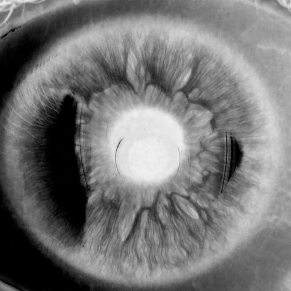 Ocularcentrism