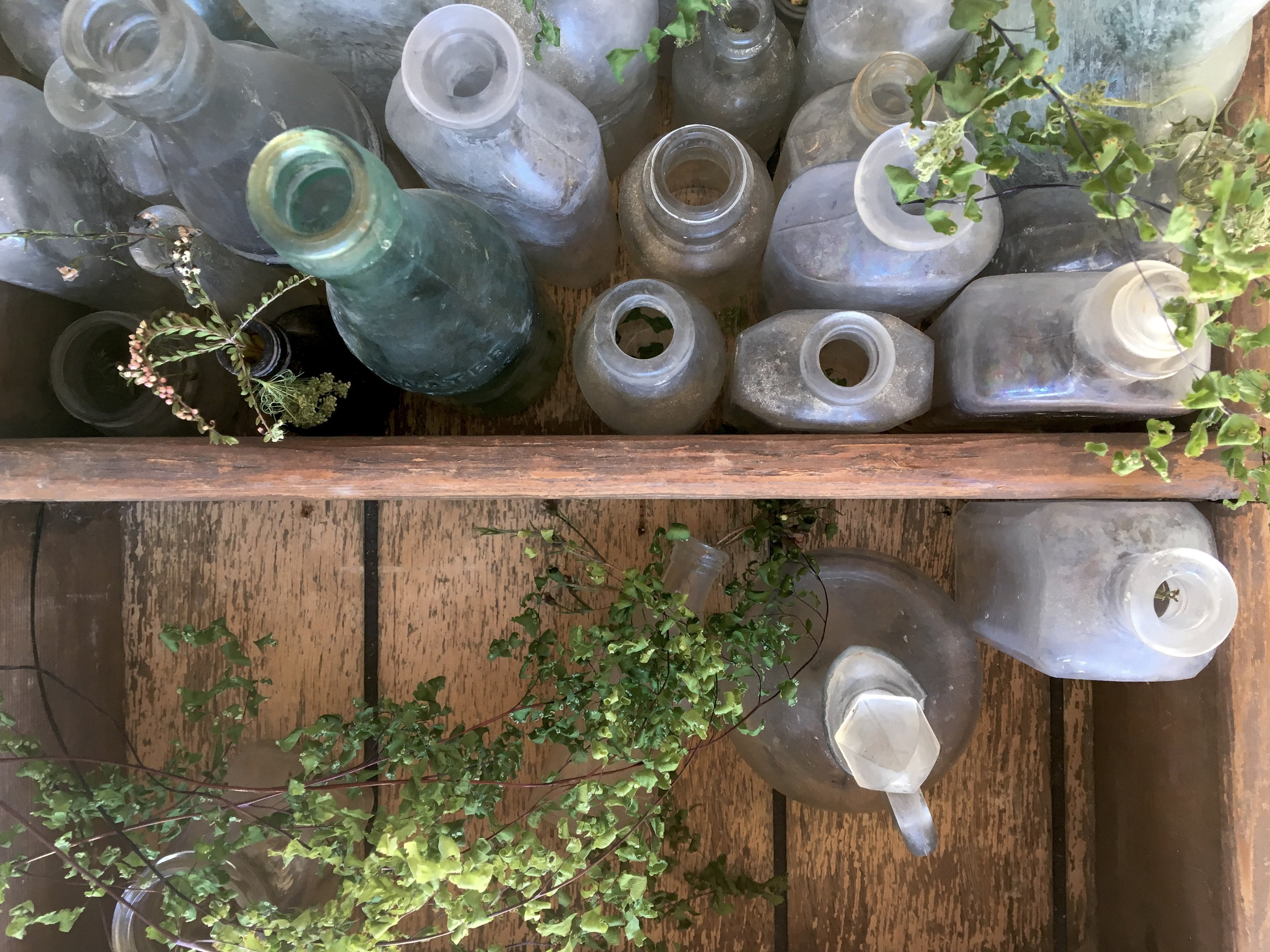 Joe's Bottles.jpg