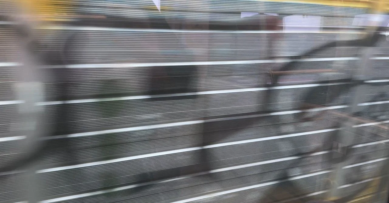 photo_2024-03-14 11.19.00.jpeg