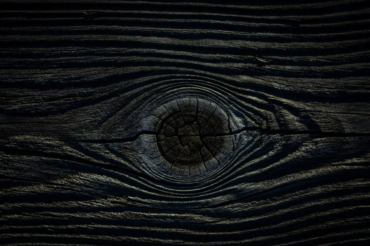 photo_2024-03-14 11.18.39.jpeg