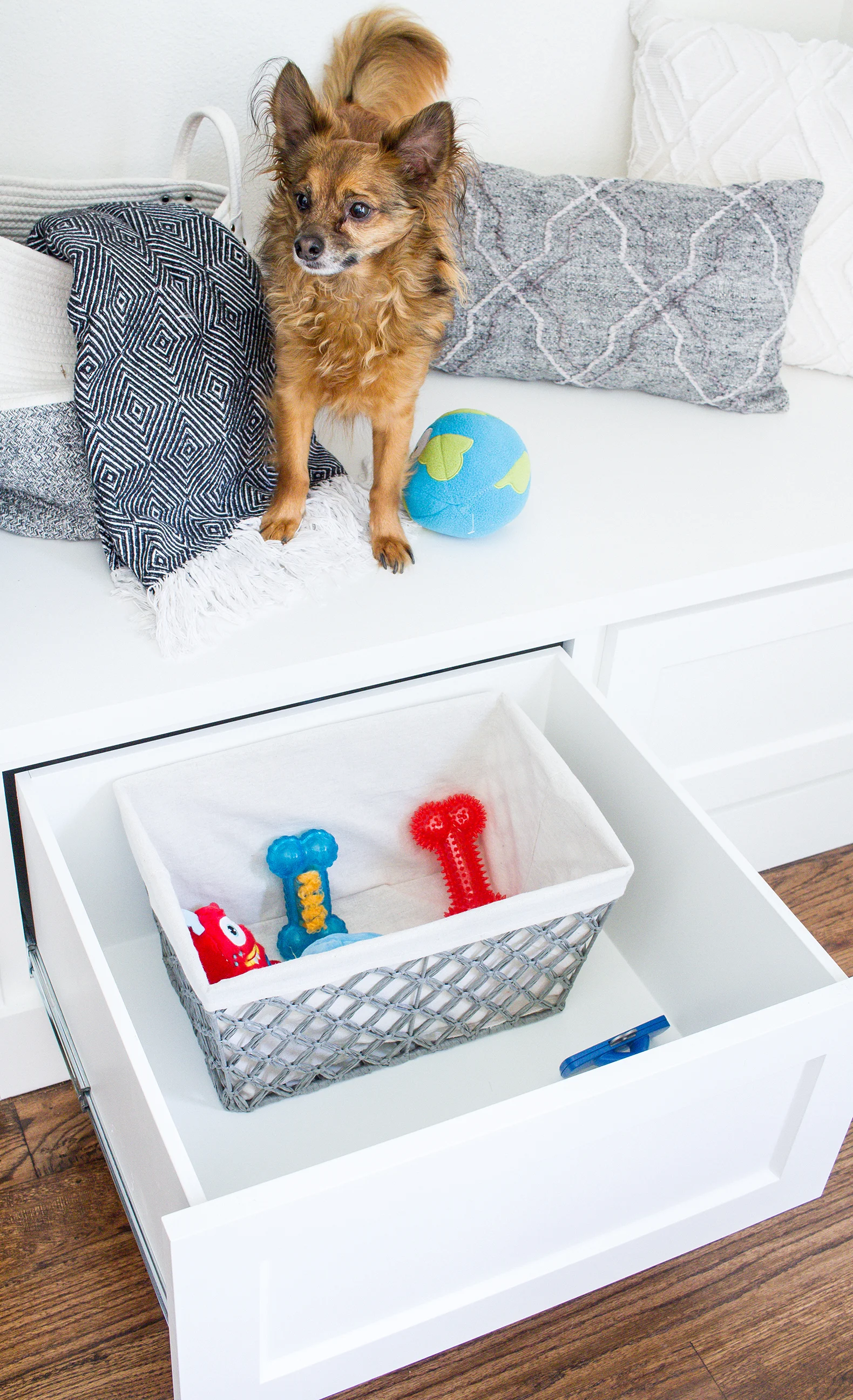 Dogs and Decor 10.jpg