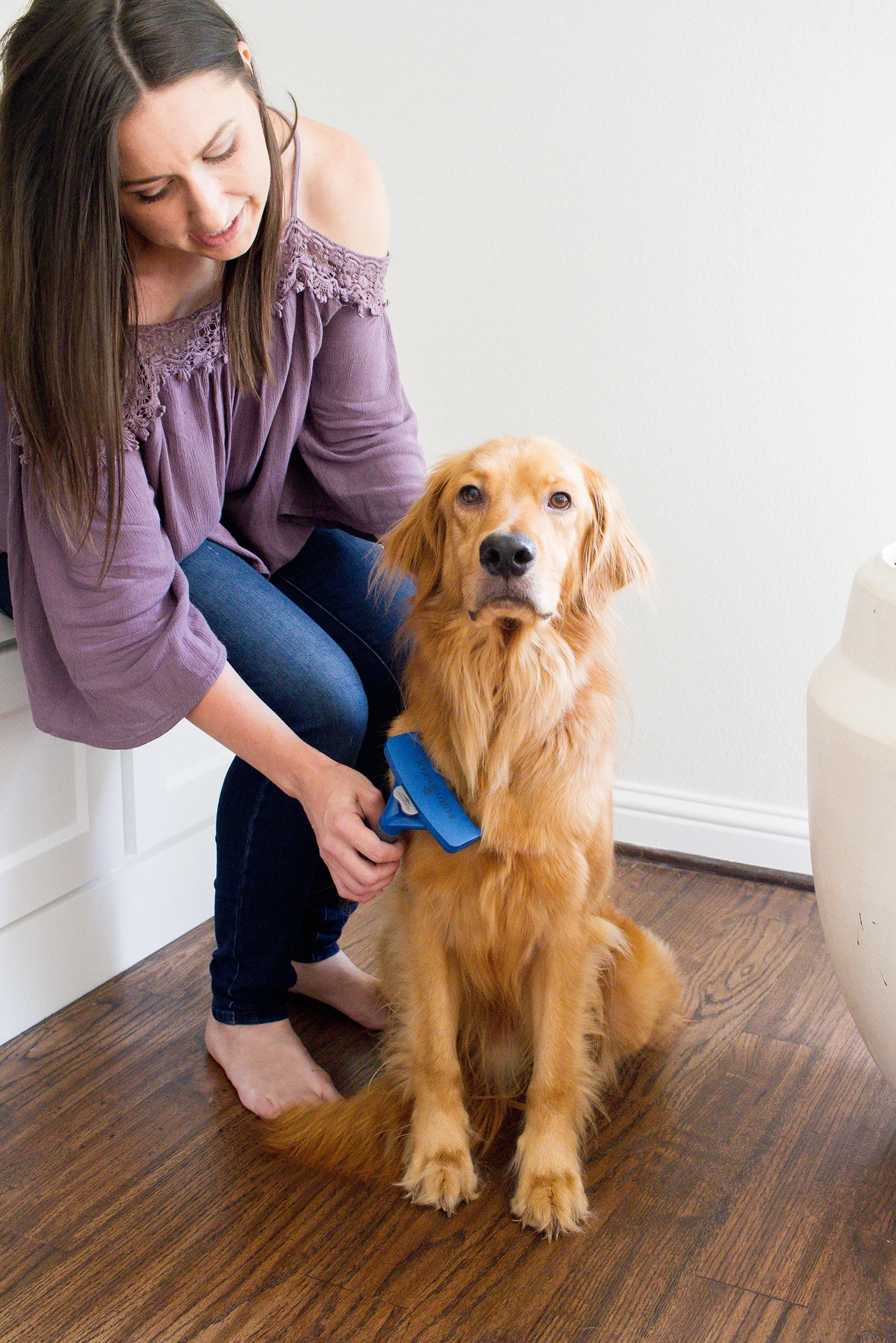 Dogs and Decor 7.jpg