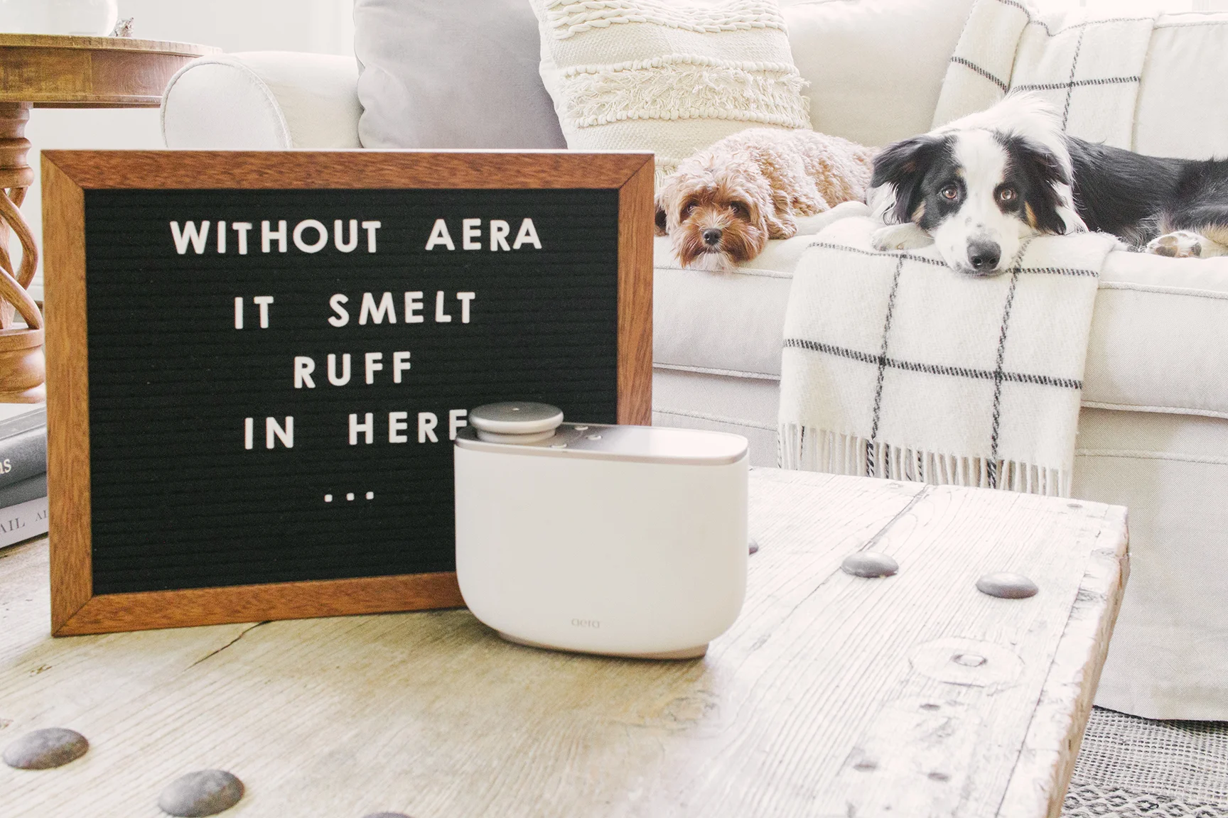 AERA FOR HOME 2-9956.jpg