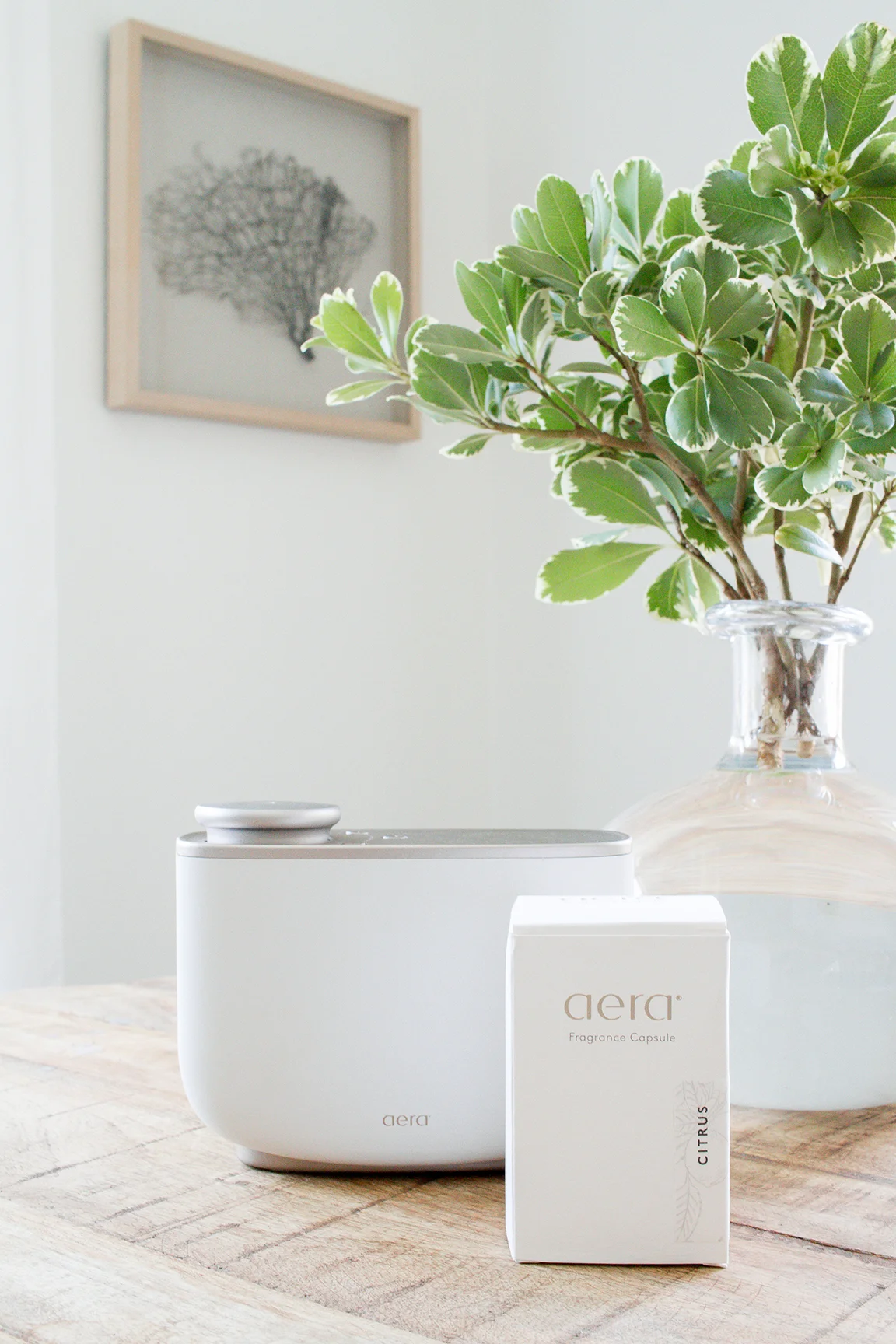AERA FOR HOME-9782.jpg