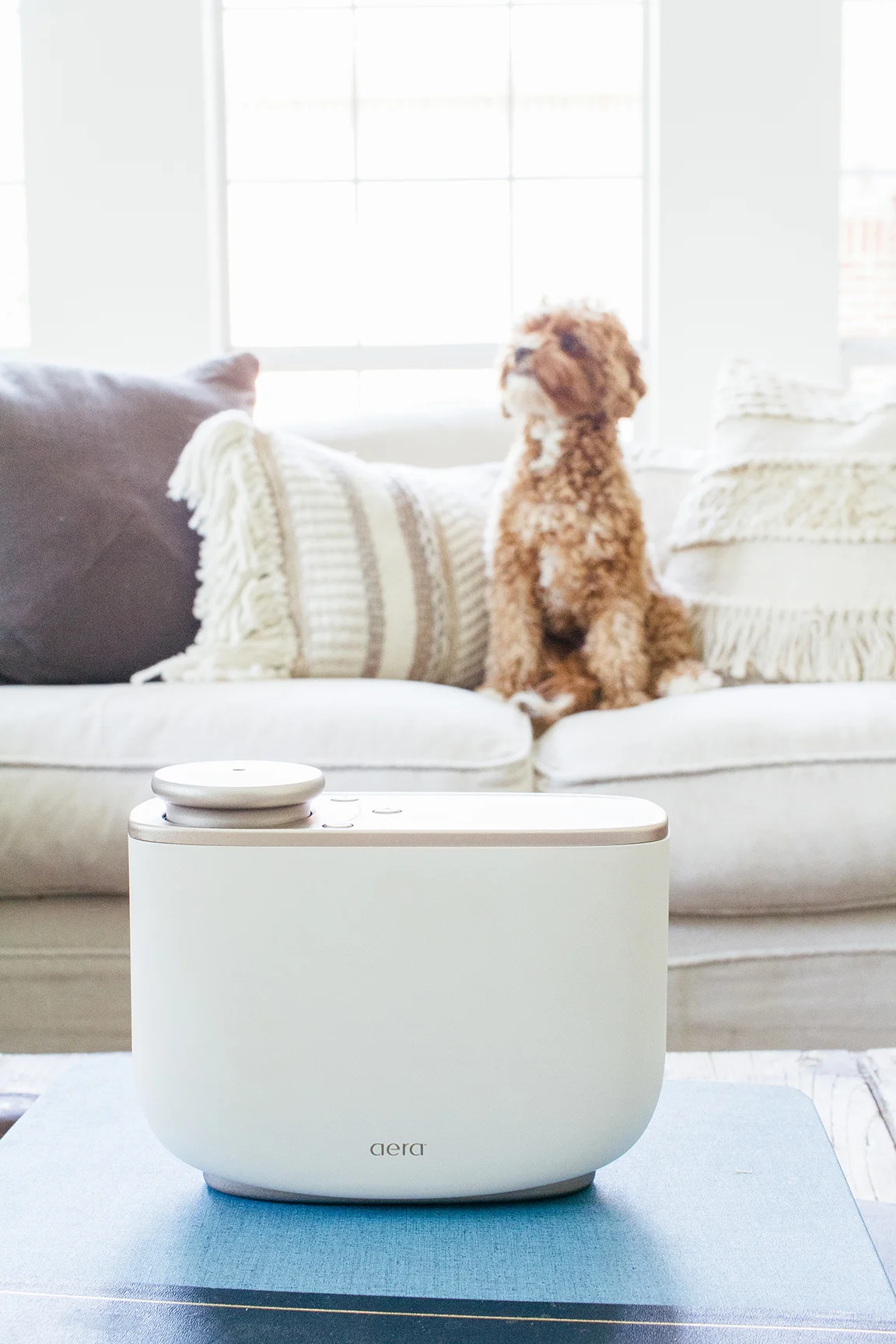 AERA FOR HOME-9758.jpg