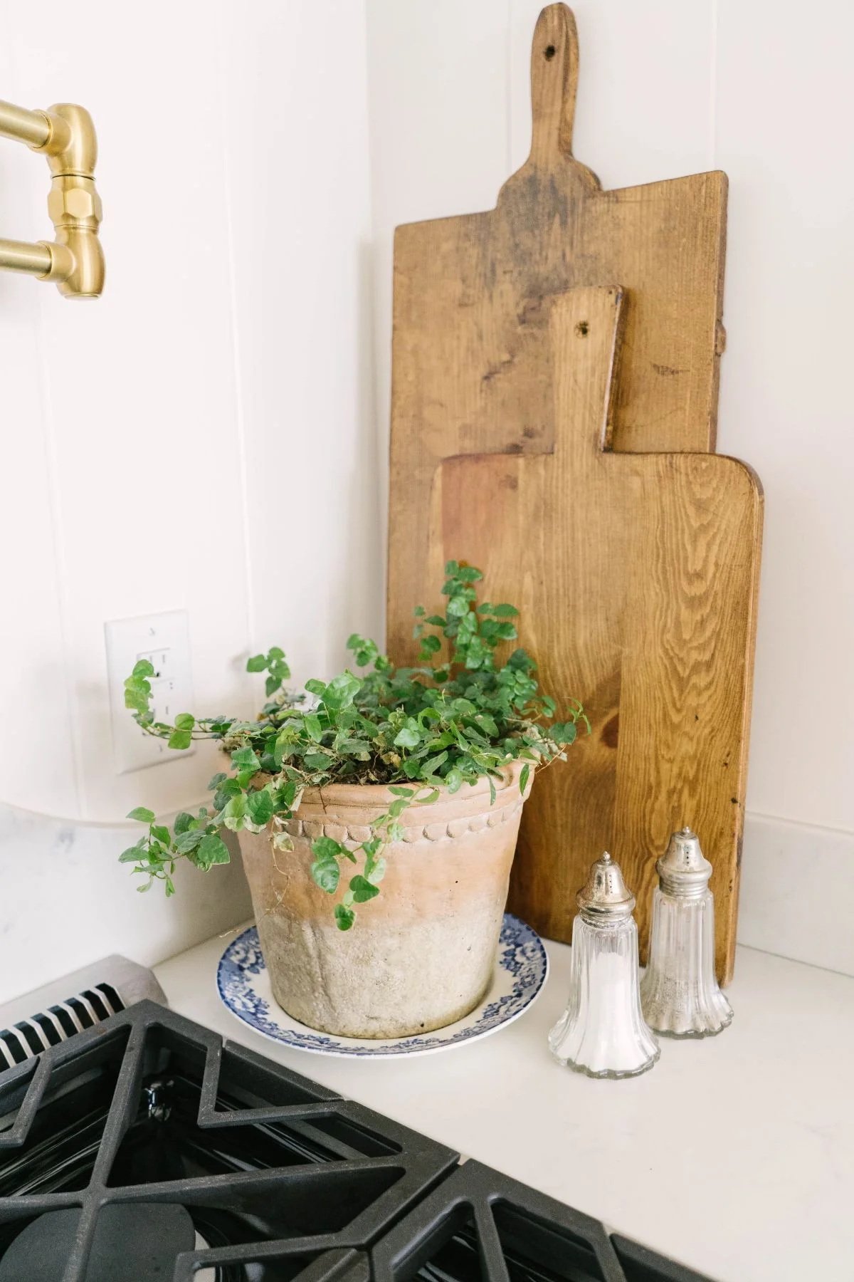 Blooming Ivy Lane-06887.jpg