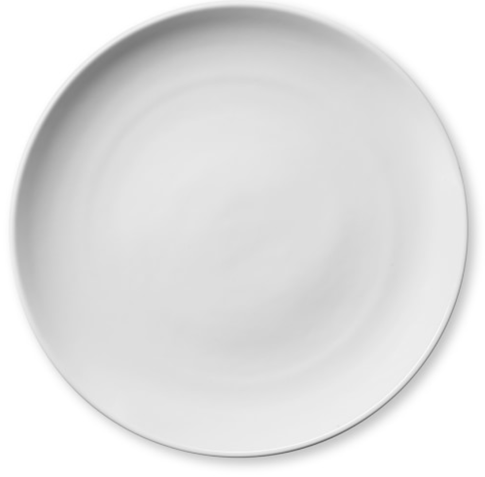 简单的白色Dish.png