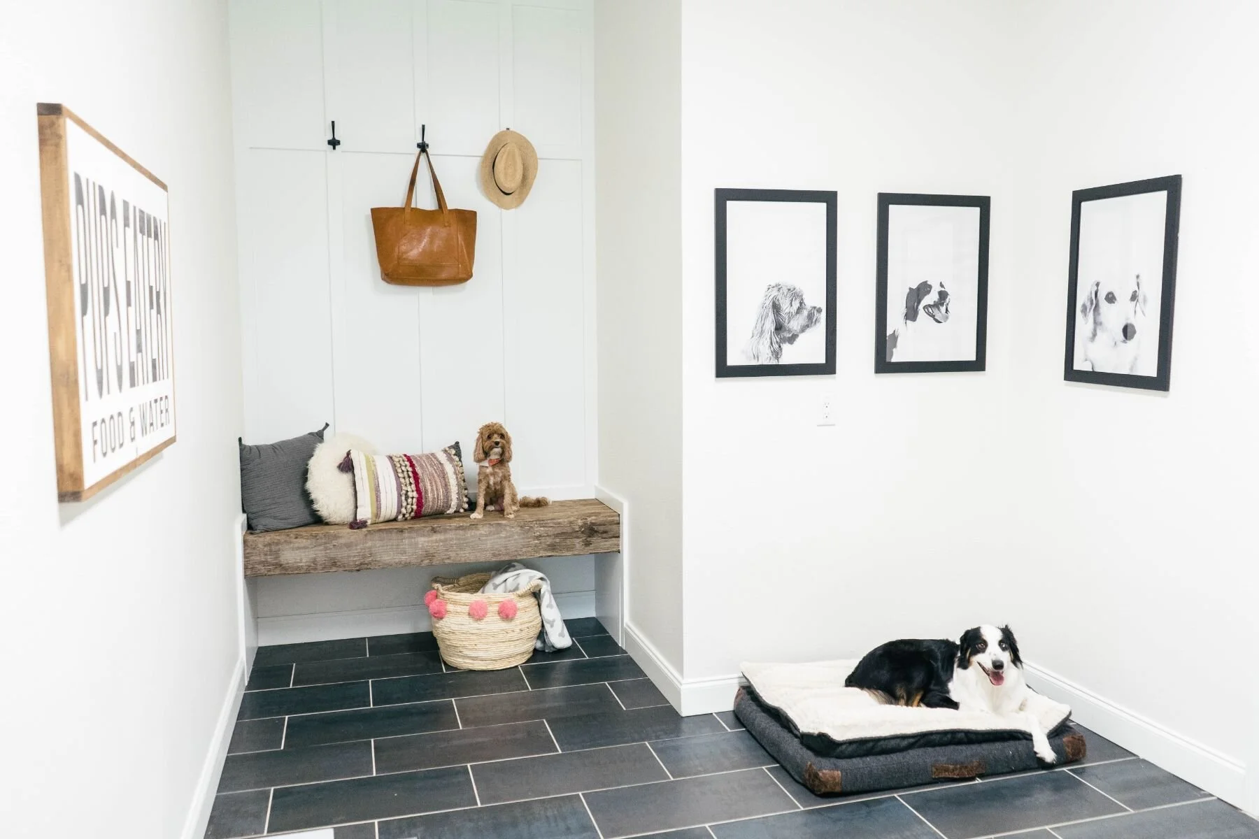 PUPPIES MUDROOM-02328.jpg