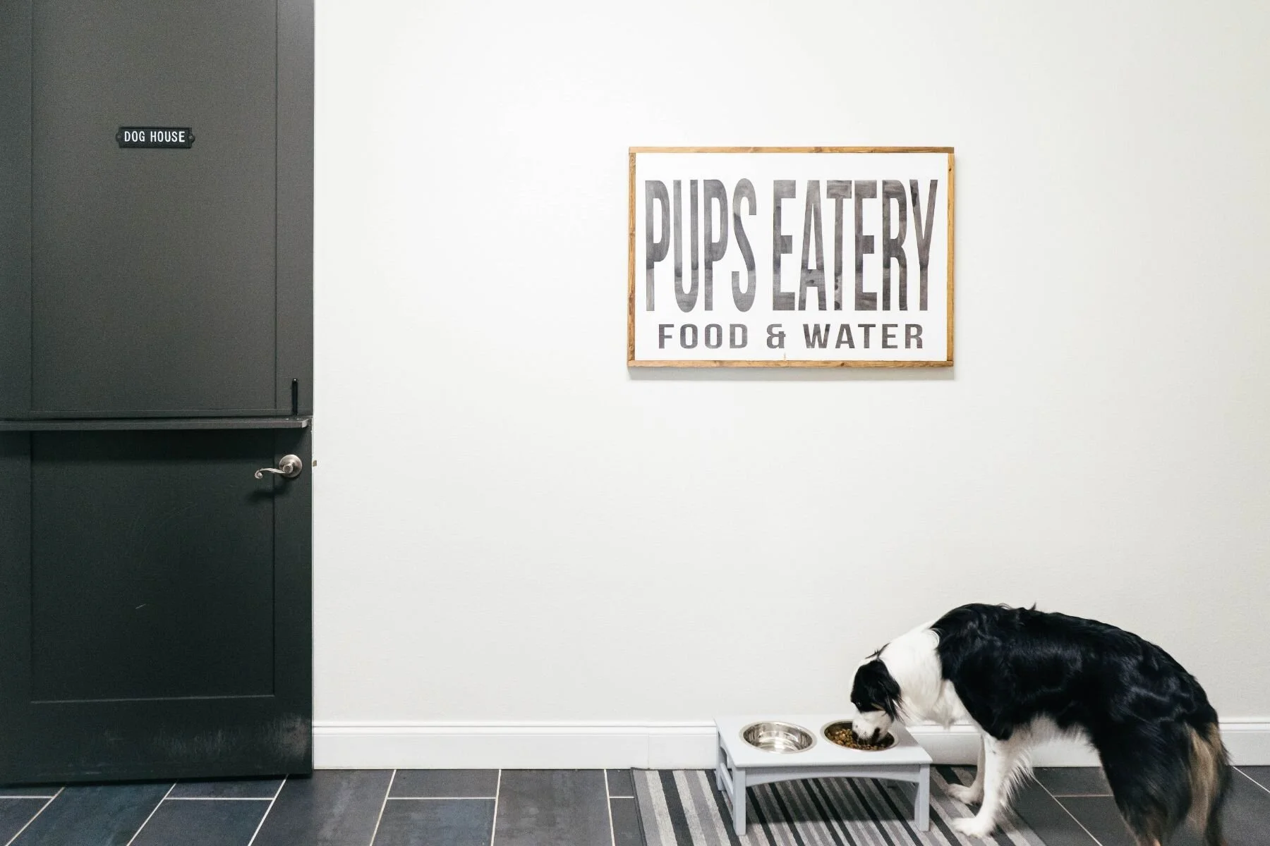 PUPPIES MUDROOM-02369.jpg