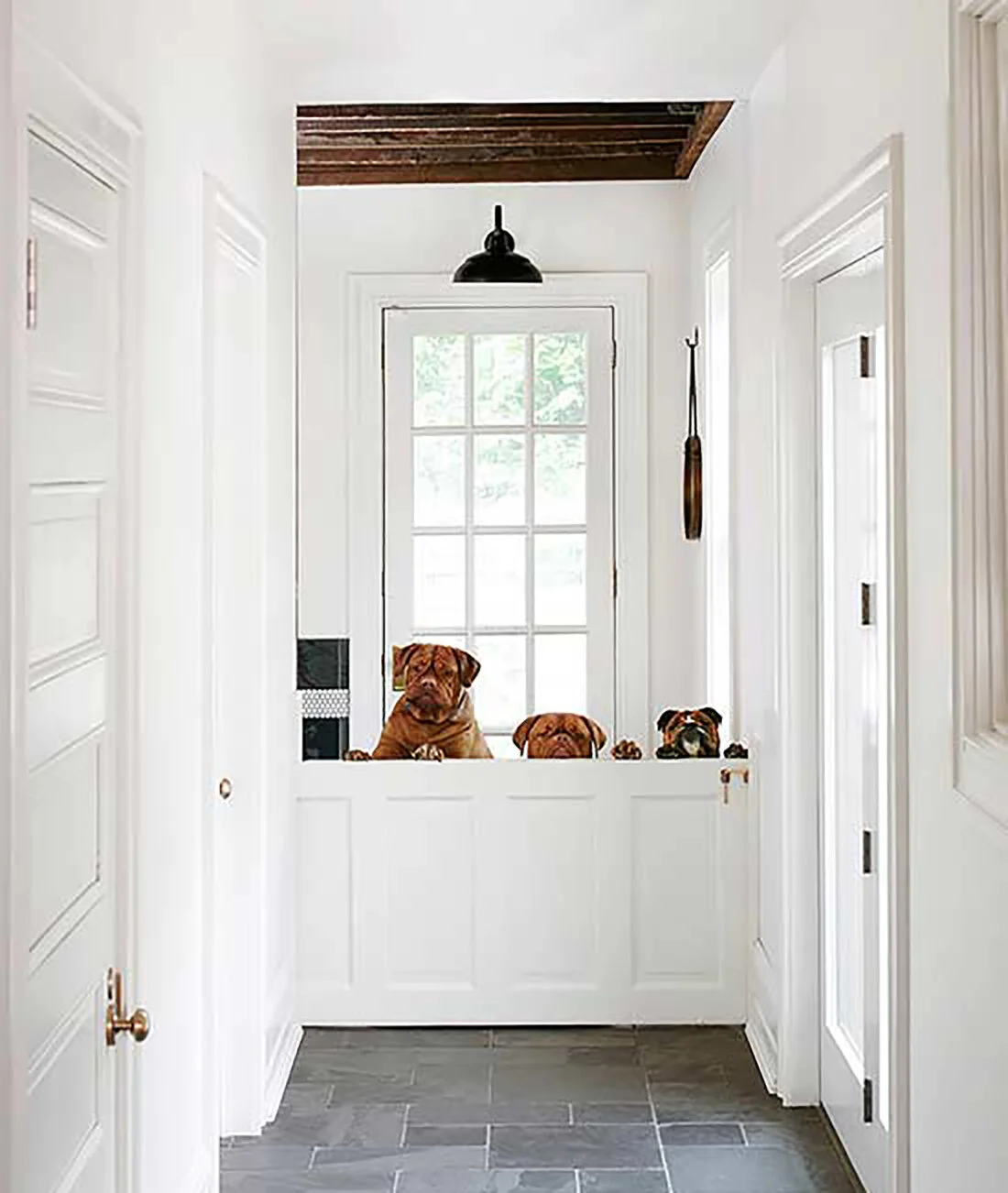 Dogs and Design Dutch Door.jpg