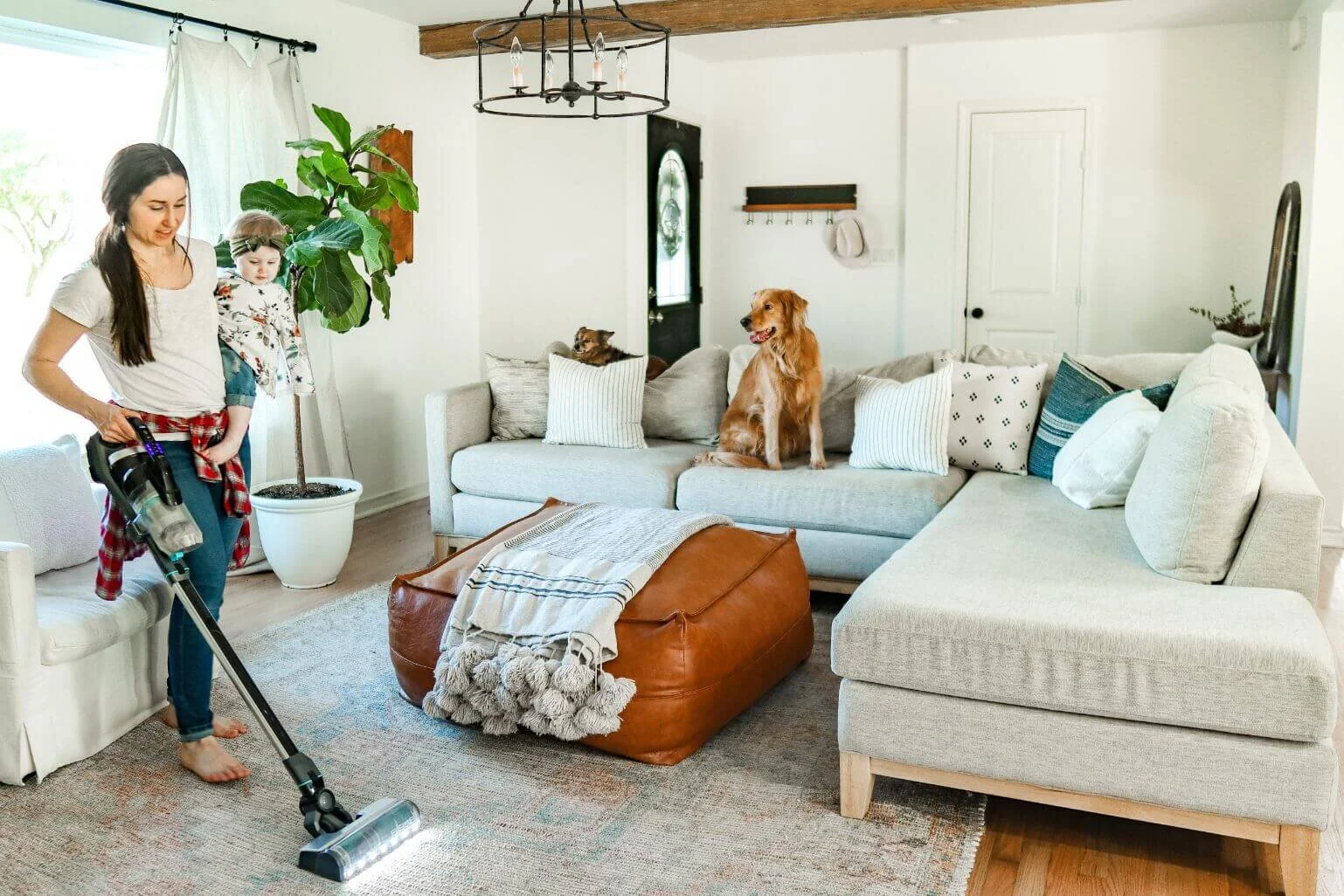 How We Keep Our Home Clean with 3 Hairy Pus (& Other Animals