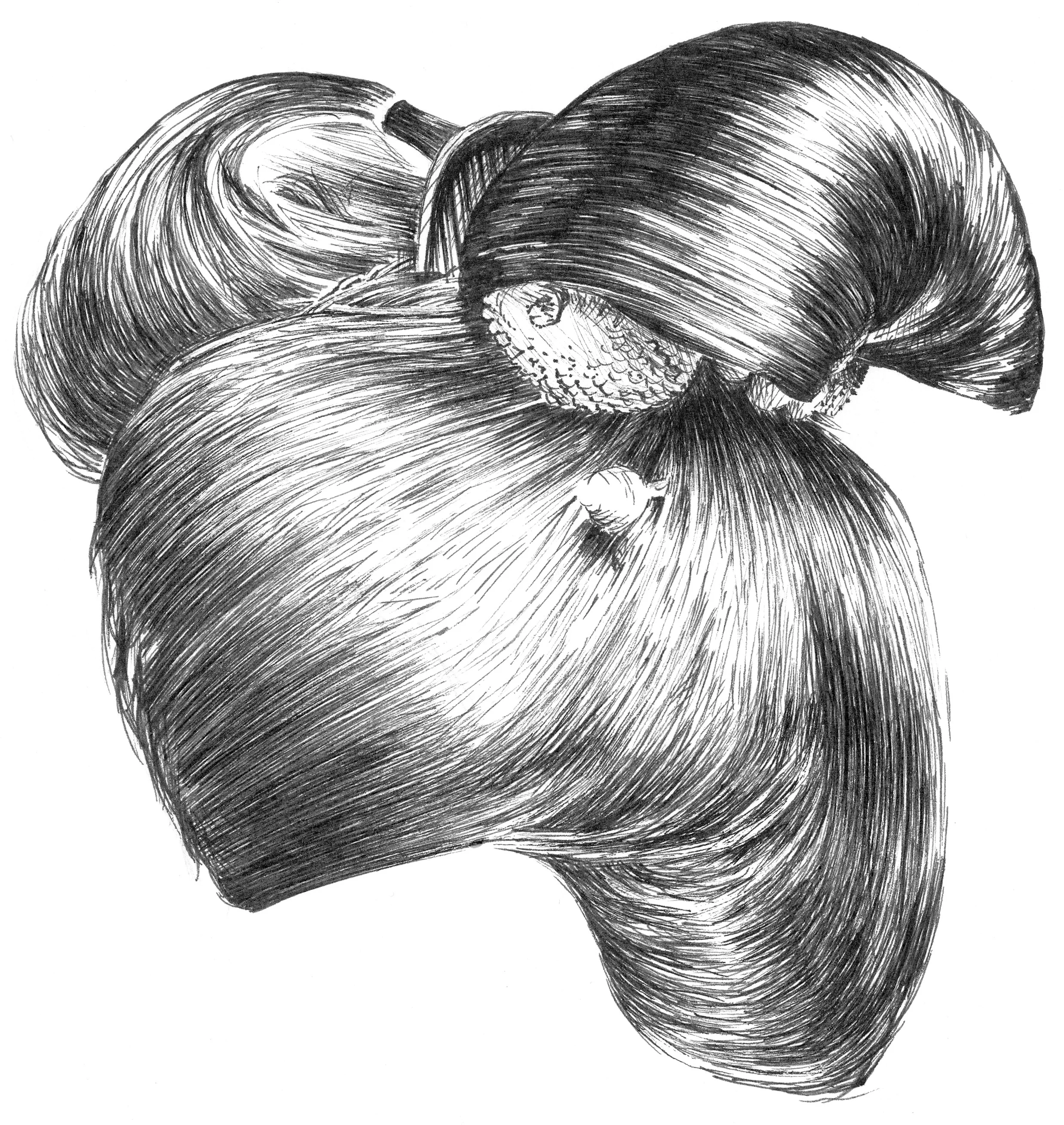 Geisha's hair (pen on paper)