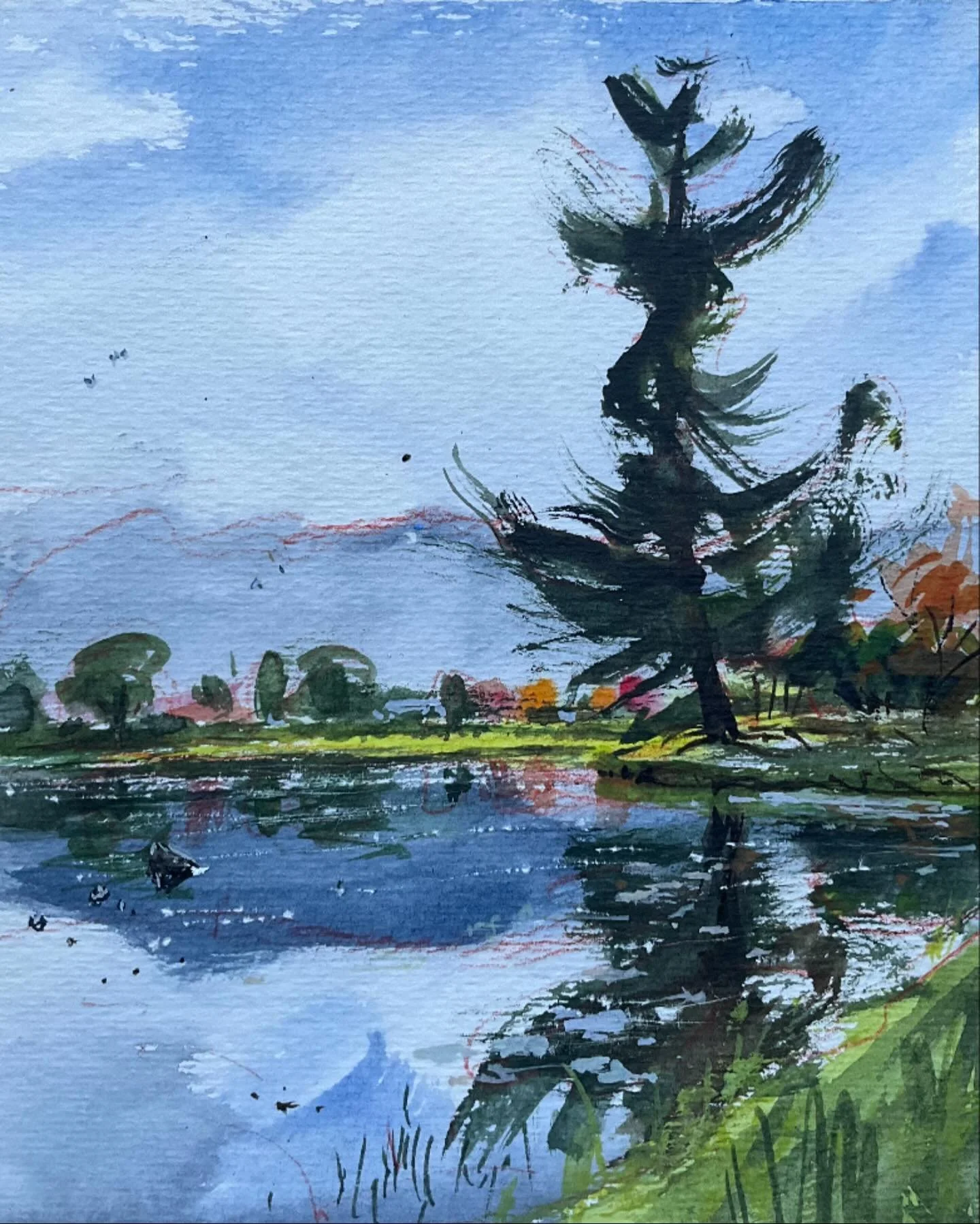 Sketch of a magnificent pine tree perched besides the lake in Kyoto&rsquo;s Daikakuji Temple

#pleinair #watercolor #holbeinwatercolors #Kyoto #Japan #sketch #pinetree #daikokuji #autumn #水彩画 #京都 #大覚寺 #秋 #松の木 #ホルベイン