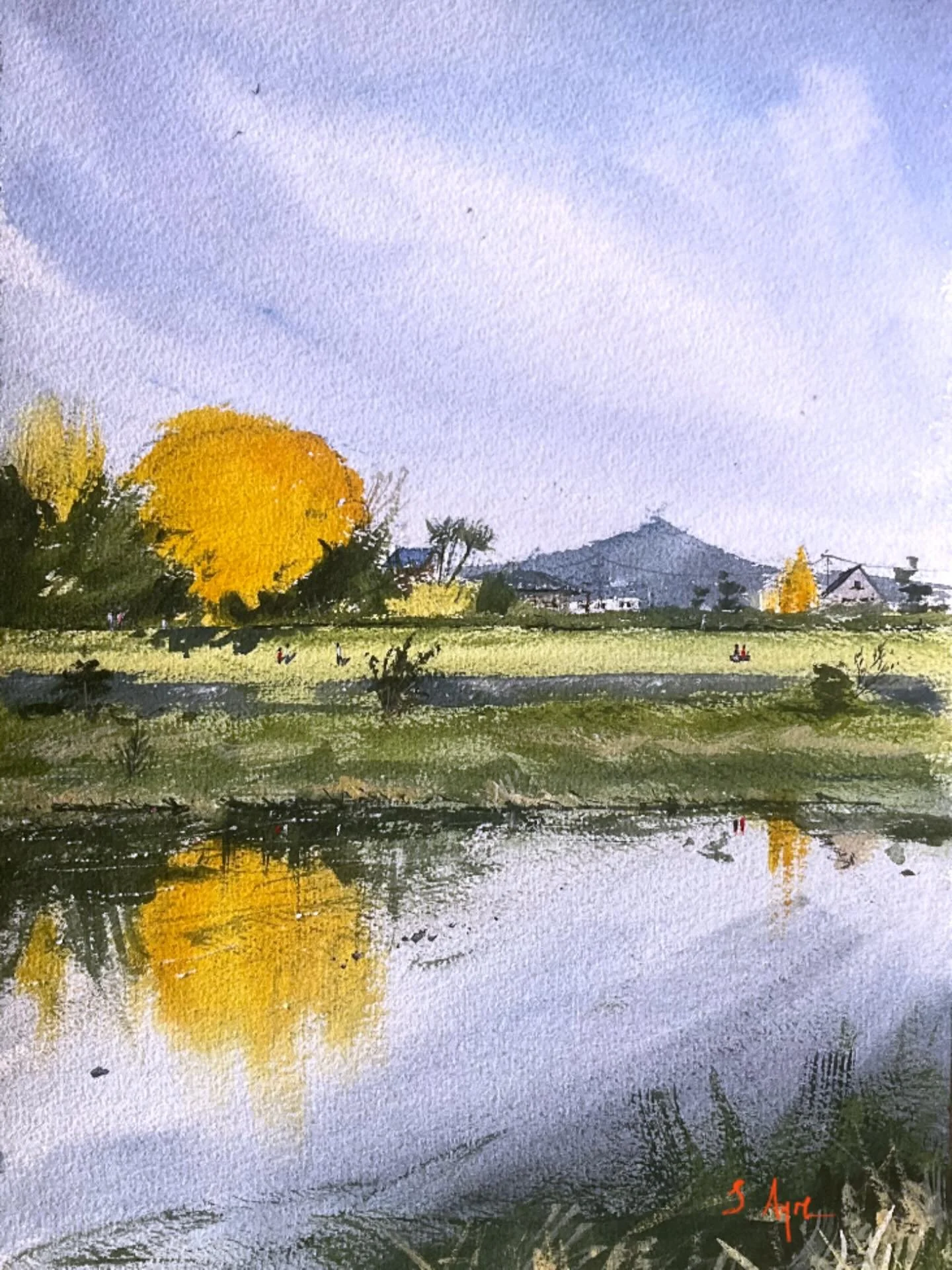Plein air sketch of a beautiful ginkgo tree on the Kamo River in north Kyoto, painted about a month back.

#pleinair #watercolor #windsorandnewton #holbeinwatercolors #Kyoto