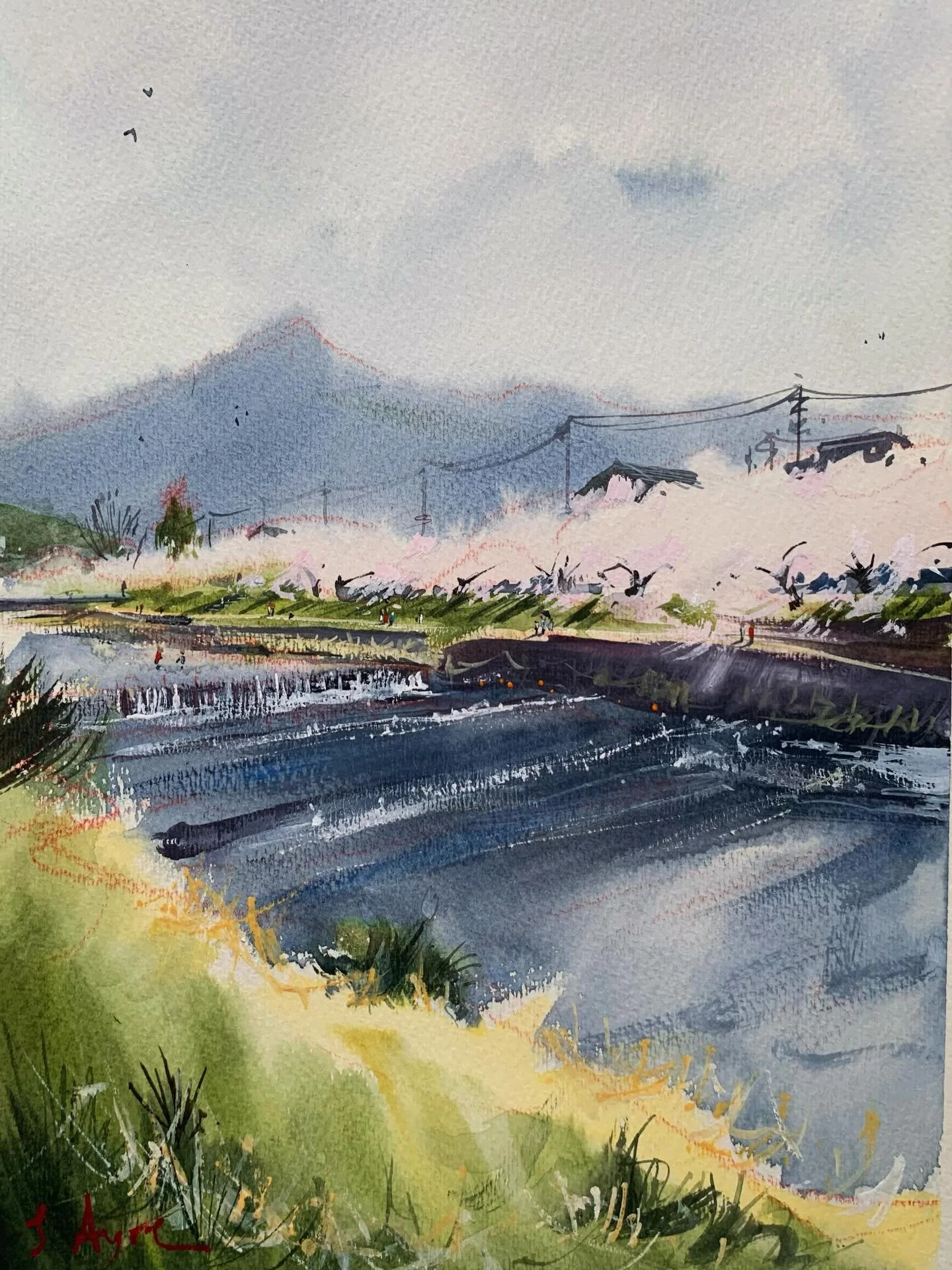 Sketch of the cherry blossoms and Mt. Hiei in north Kyoto
For some reason, a bunch of oranges were floating in the water just to the right of the waterfall.
#pleinair #sakura #Kyoto #watercolor #水彩画