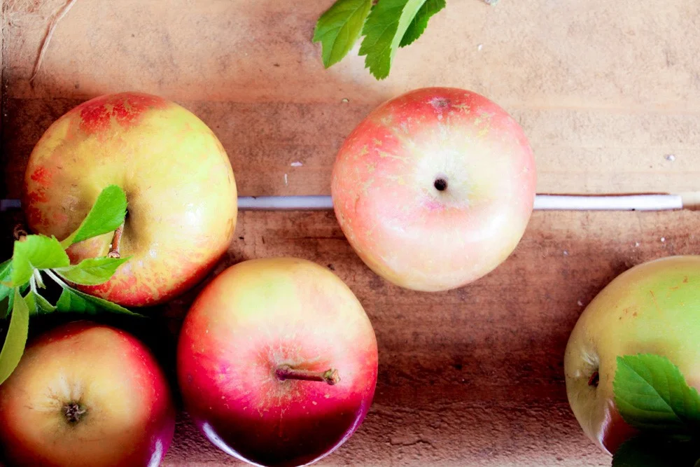 fettle-blog-nutrition-apples.jpg