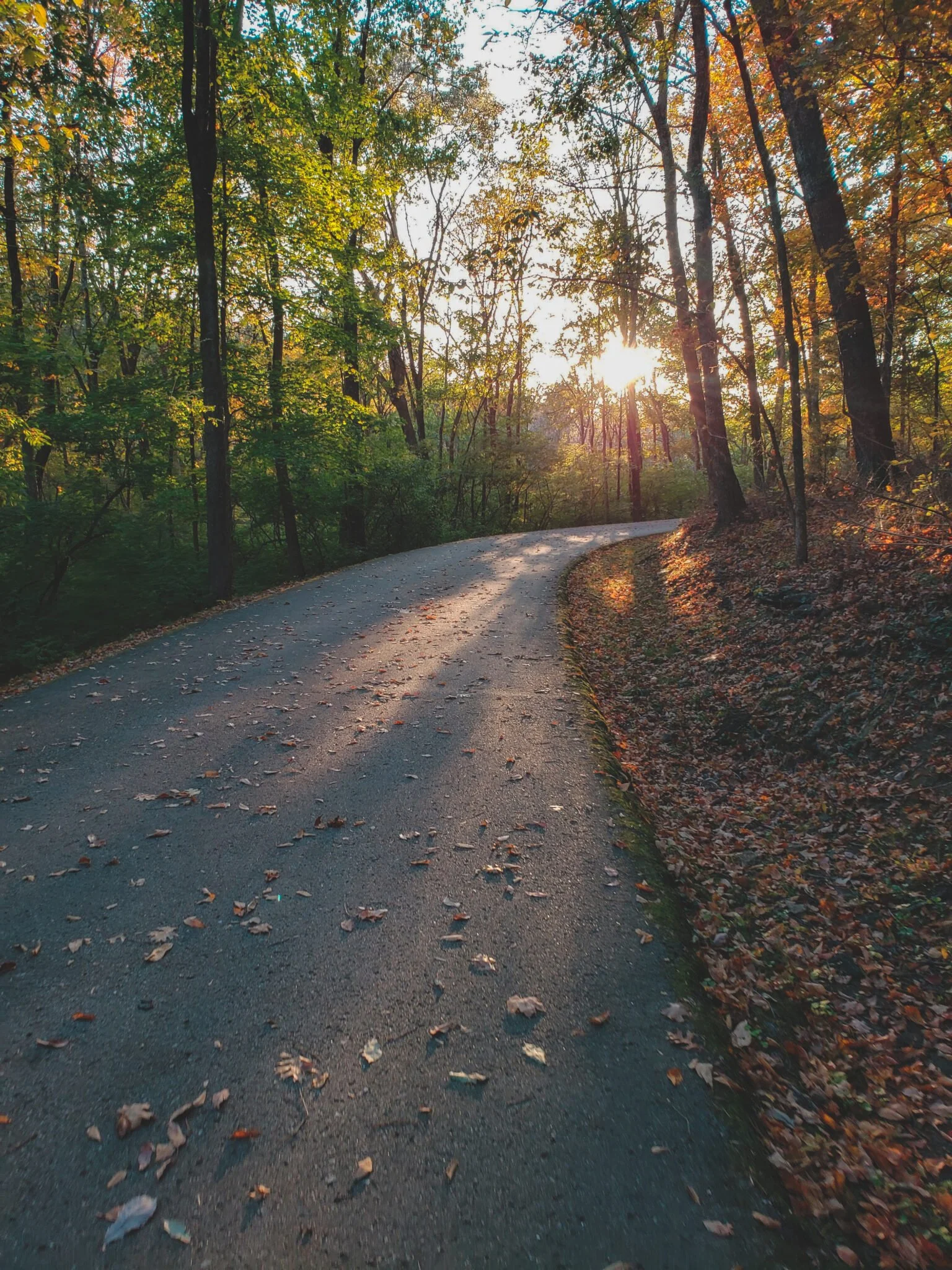 percywarner fall2.jpg