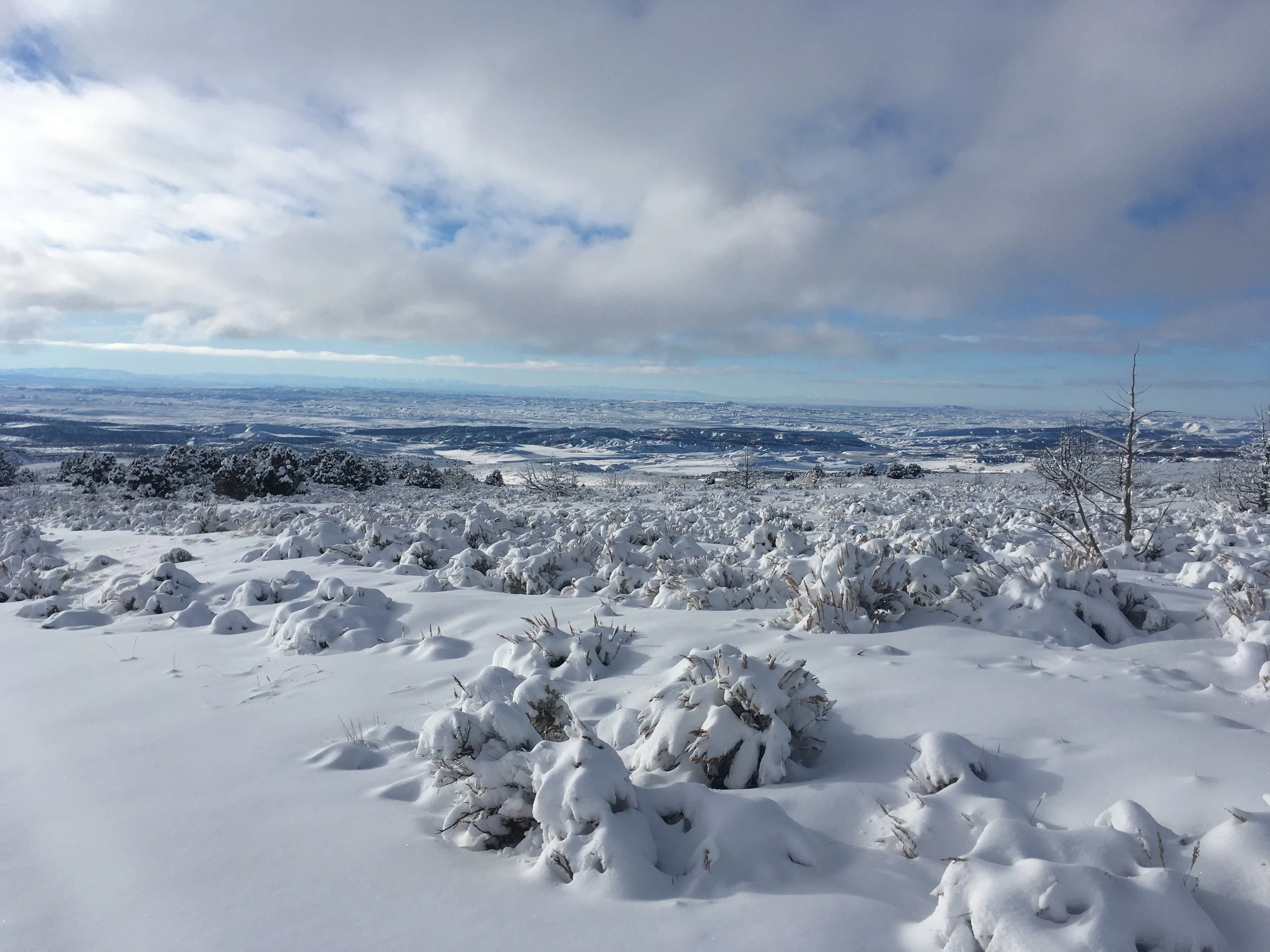A look down from the mountain. 1/21/18