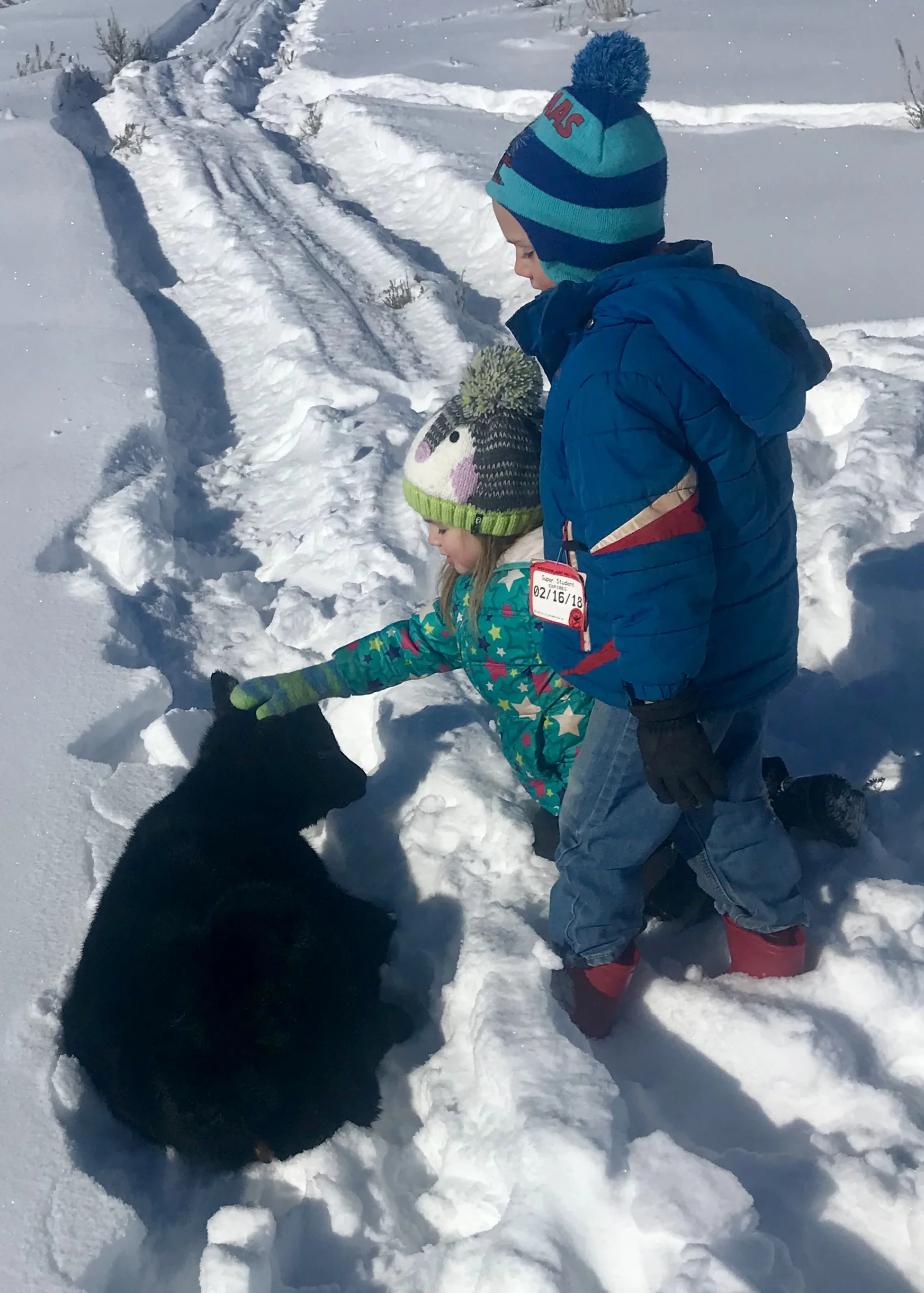 Some of the sweets. 2/25/18