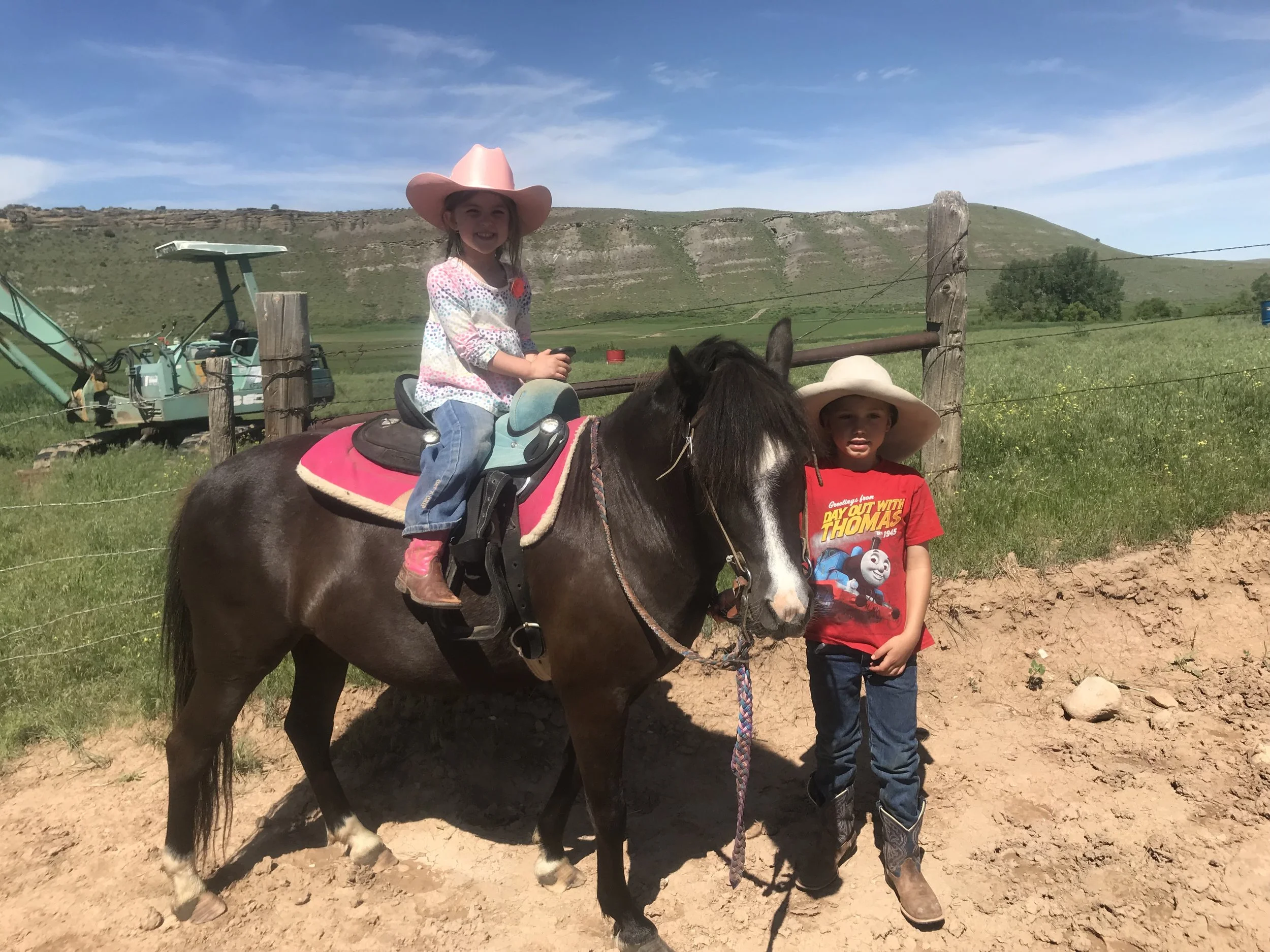 Learning the Ropes