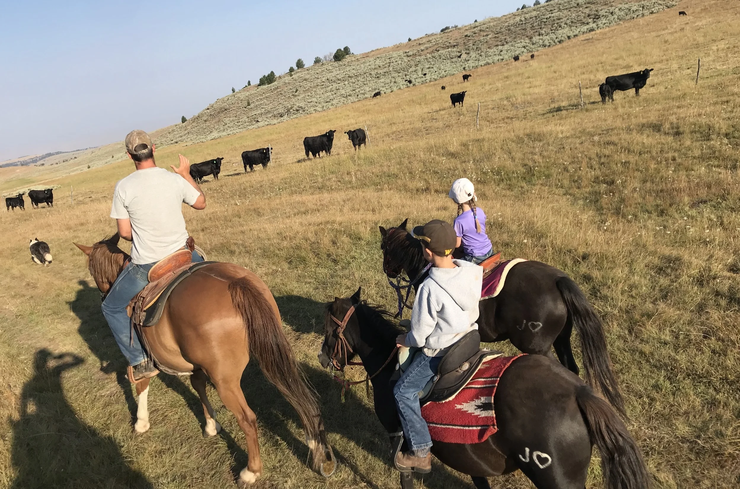 Dad showing the kids the lay of the land.
