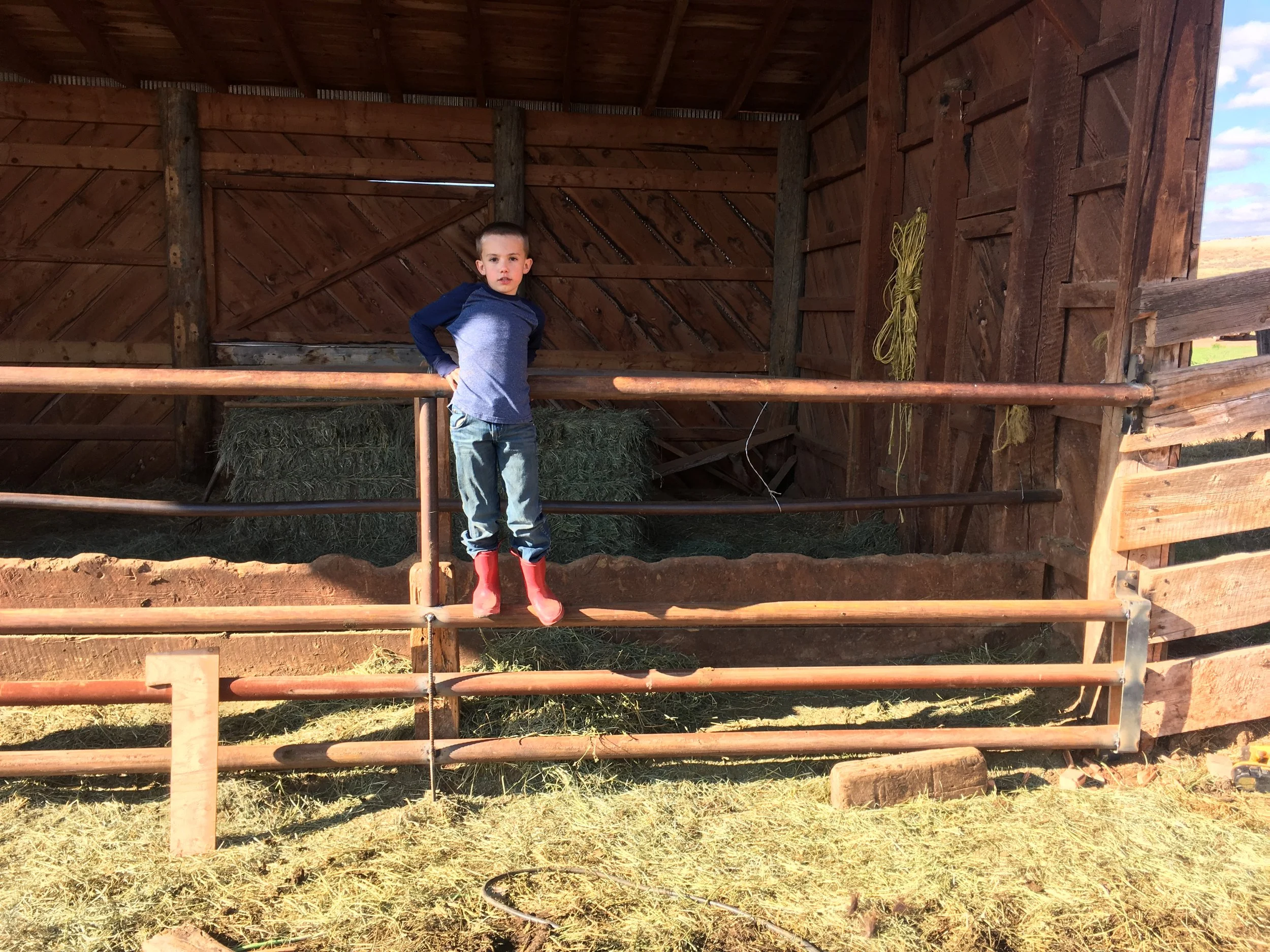 Tired of the Bullogna