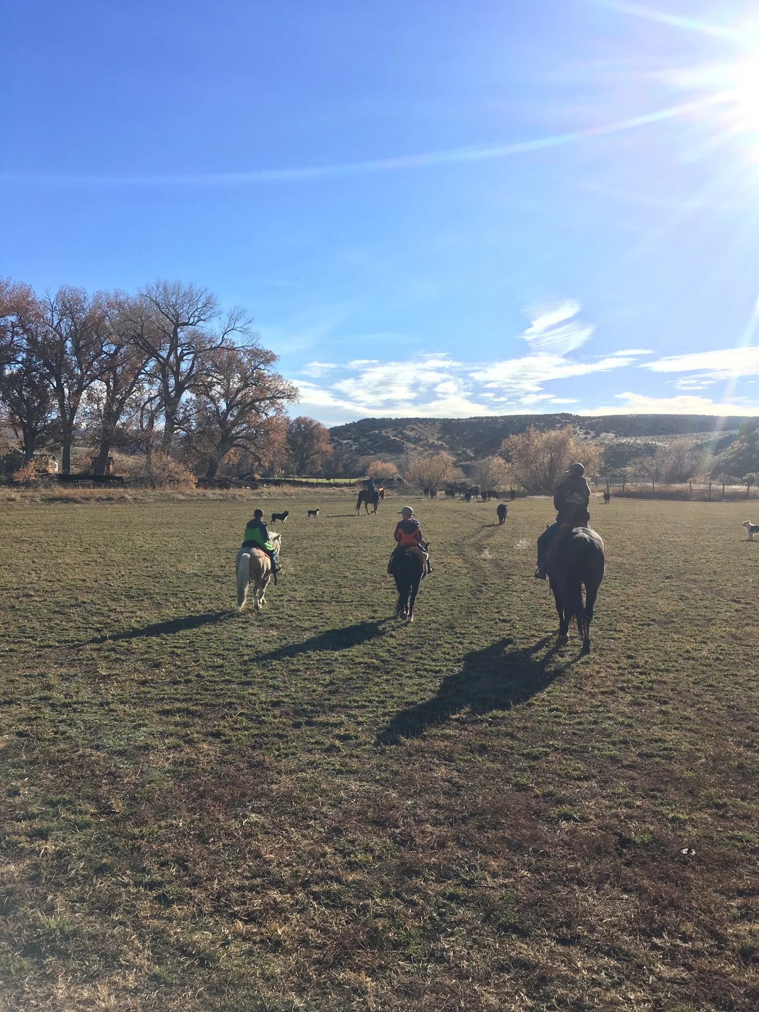 A Quick Post, And Some Pictures to Tide You Over