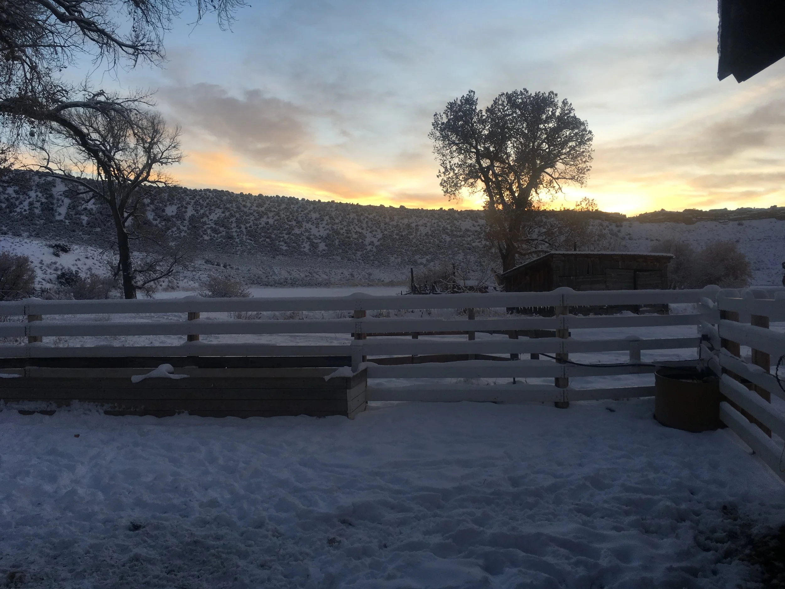 Pipelines and Bloodlines