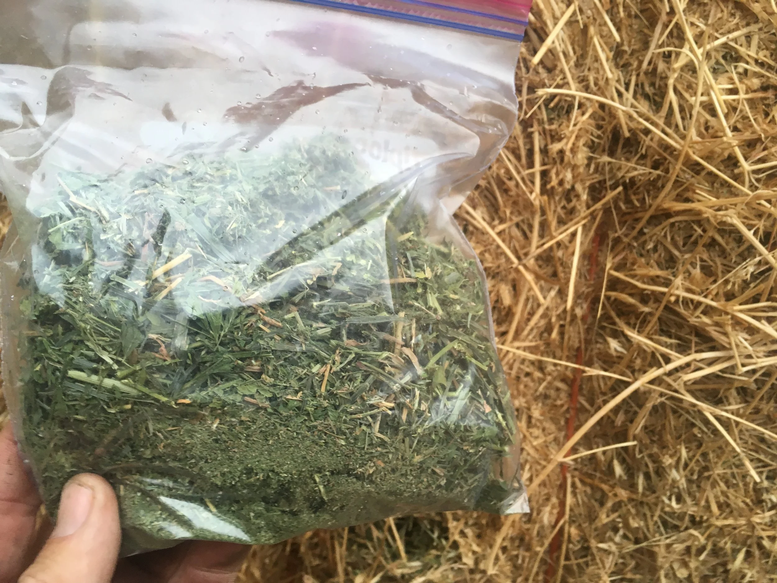 Winter Meal Planning