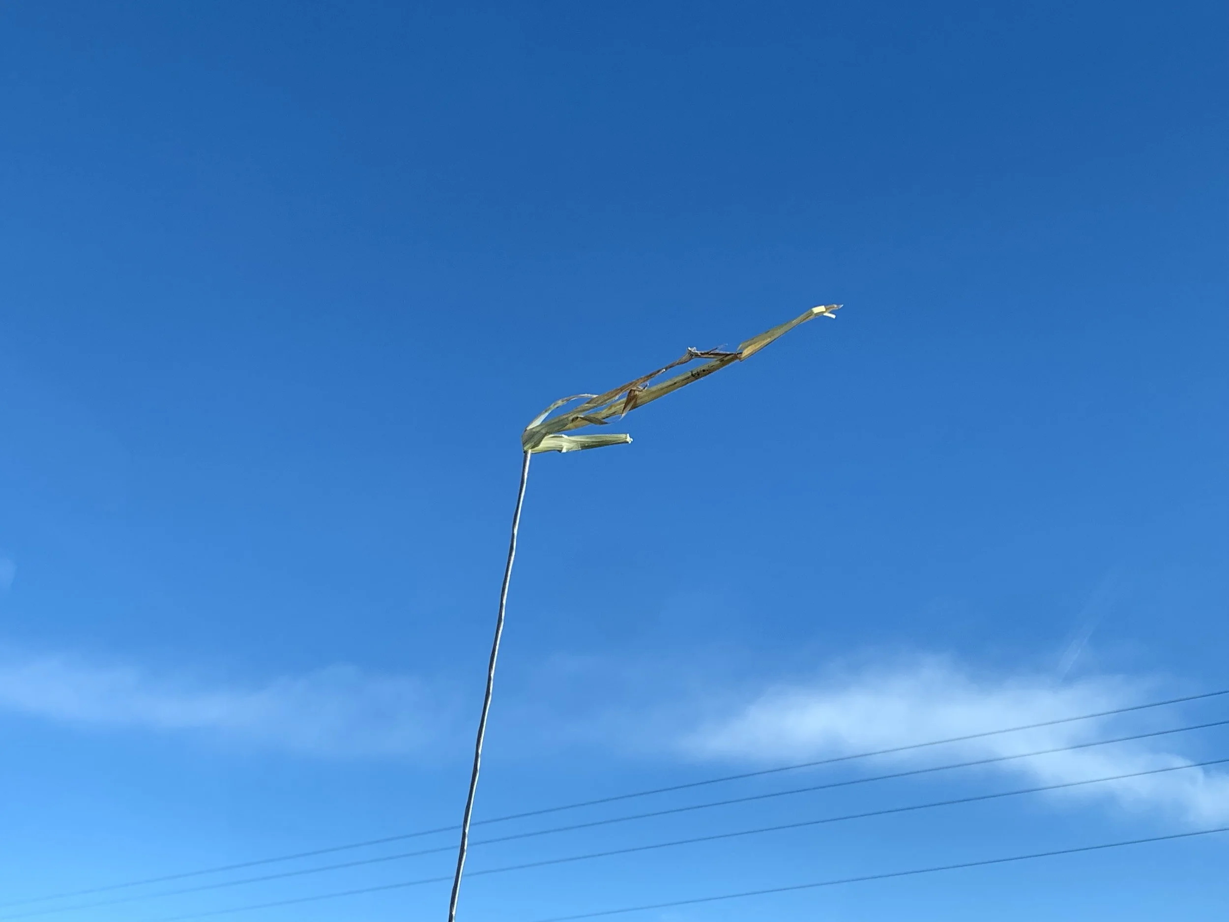 vX80GtJ6TYCK4SbEALZqQw.jpg