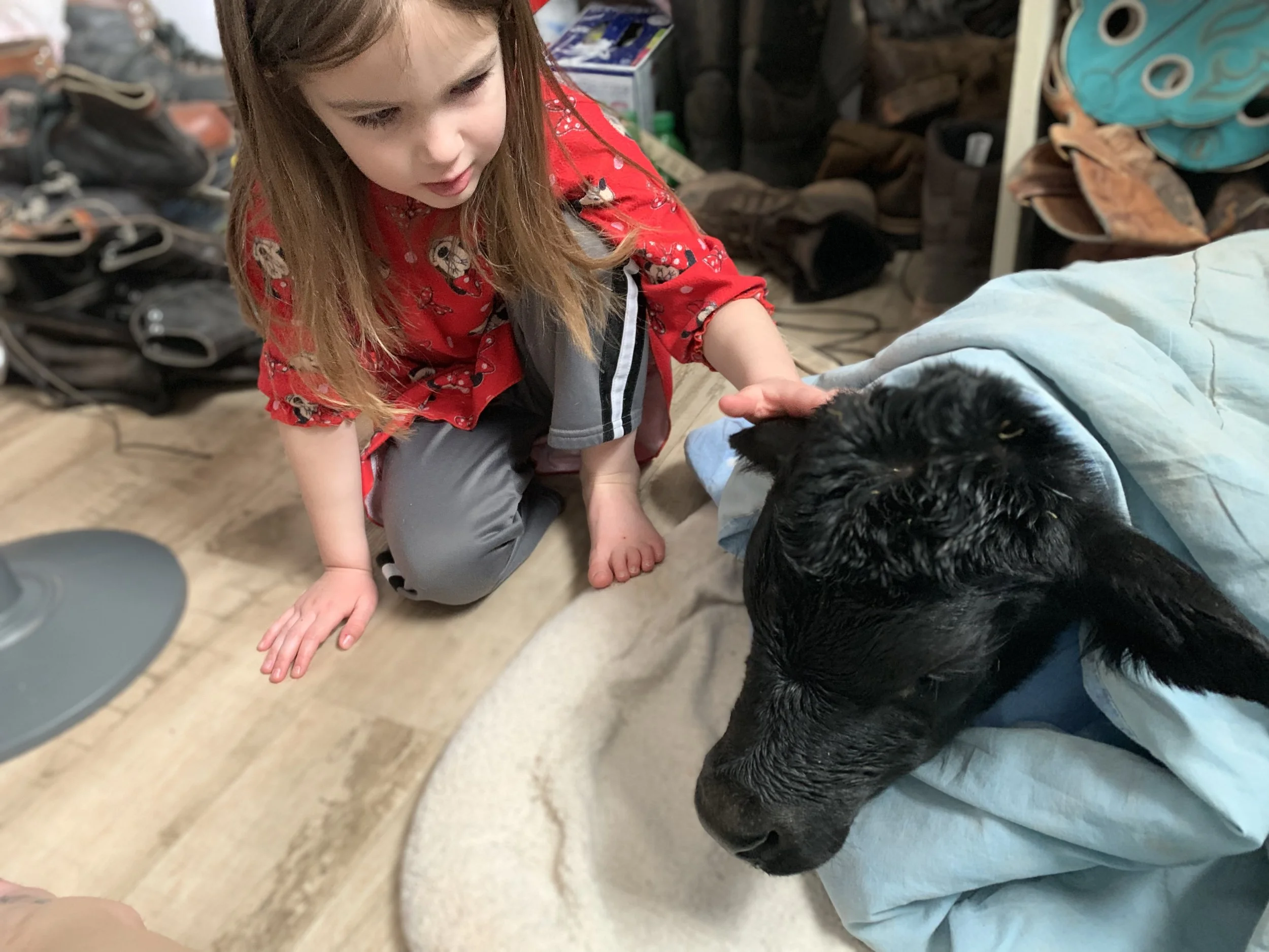 My little helper