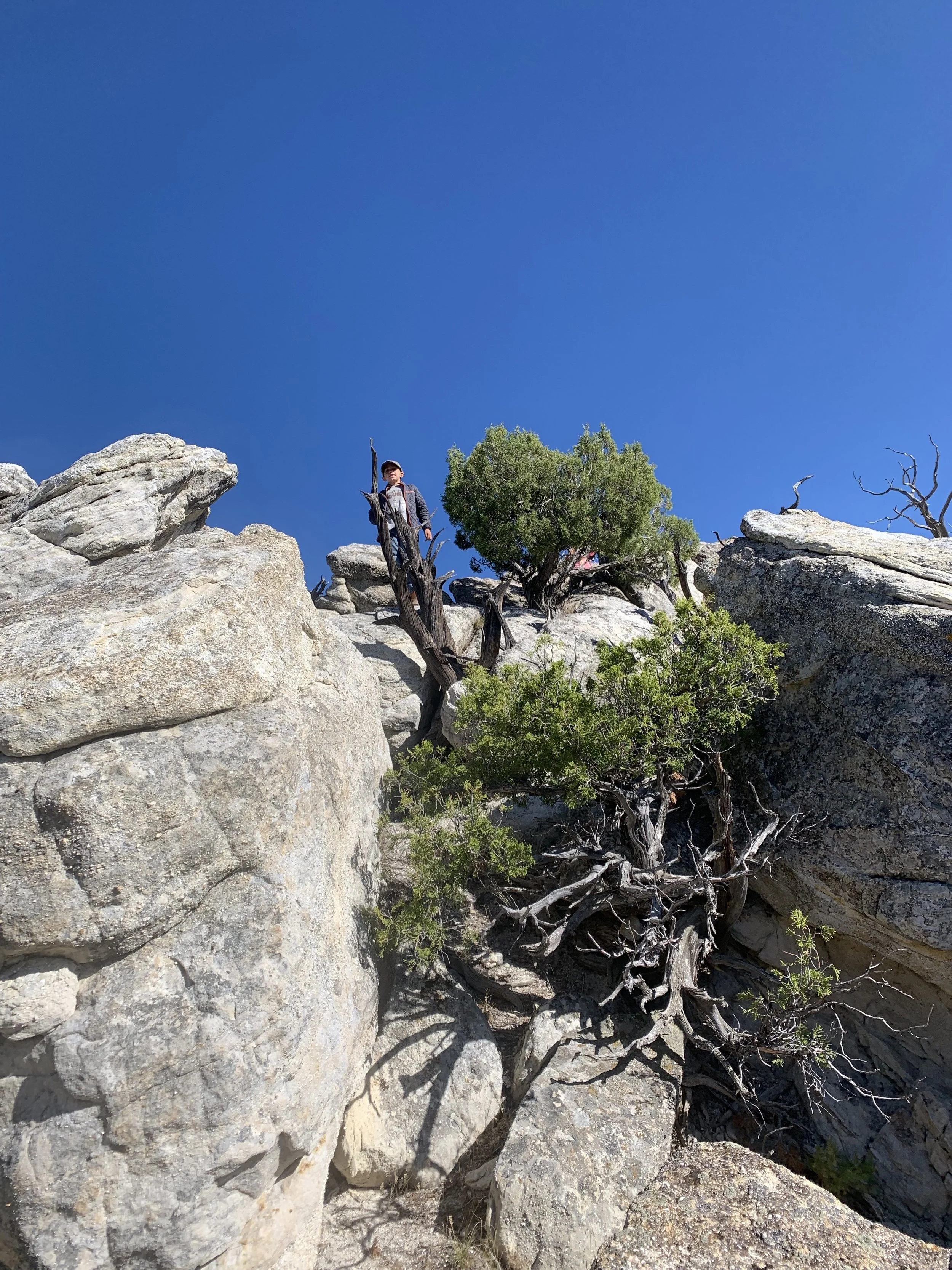 Quinlan’s view from the top