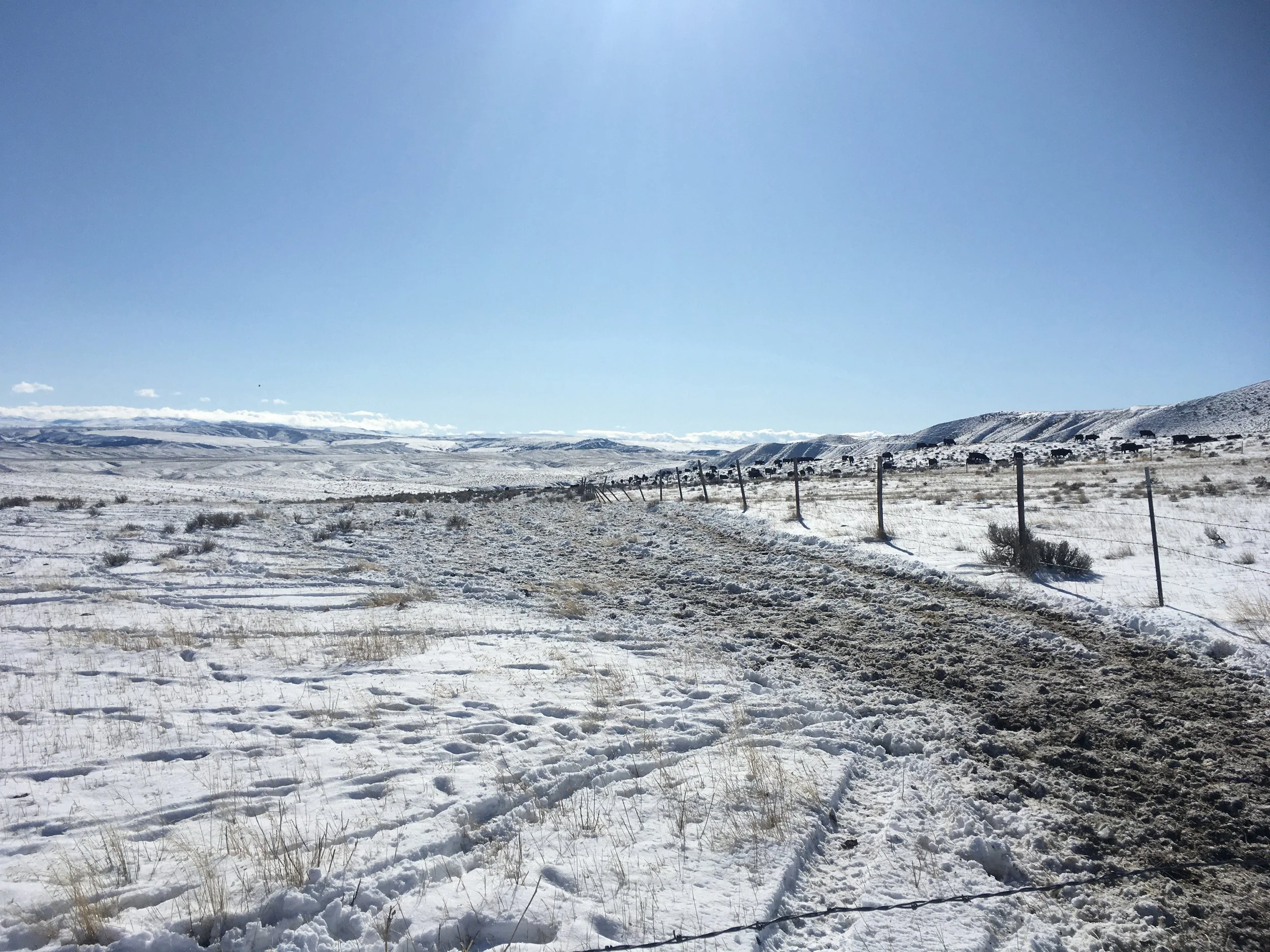 Saving Daylight Time