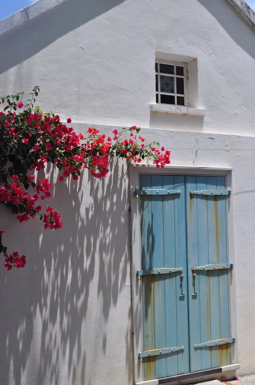 A0AE0487-1207-47B4-9DA5-541179B62A64 2.JPG