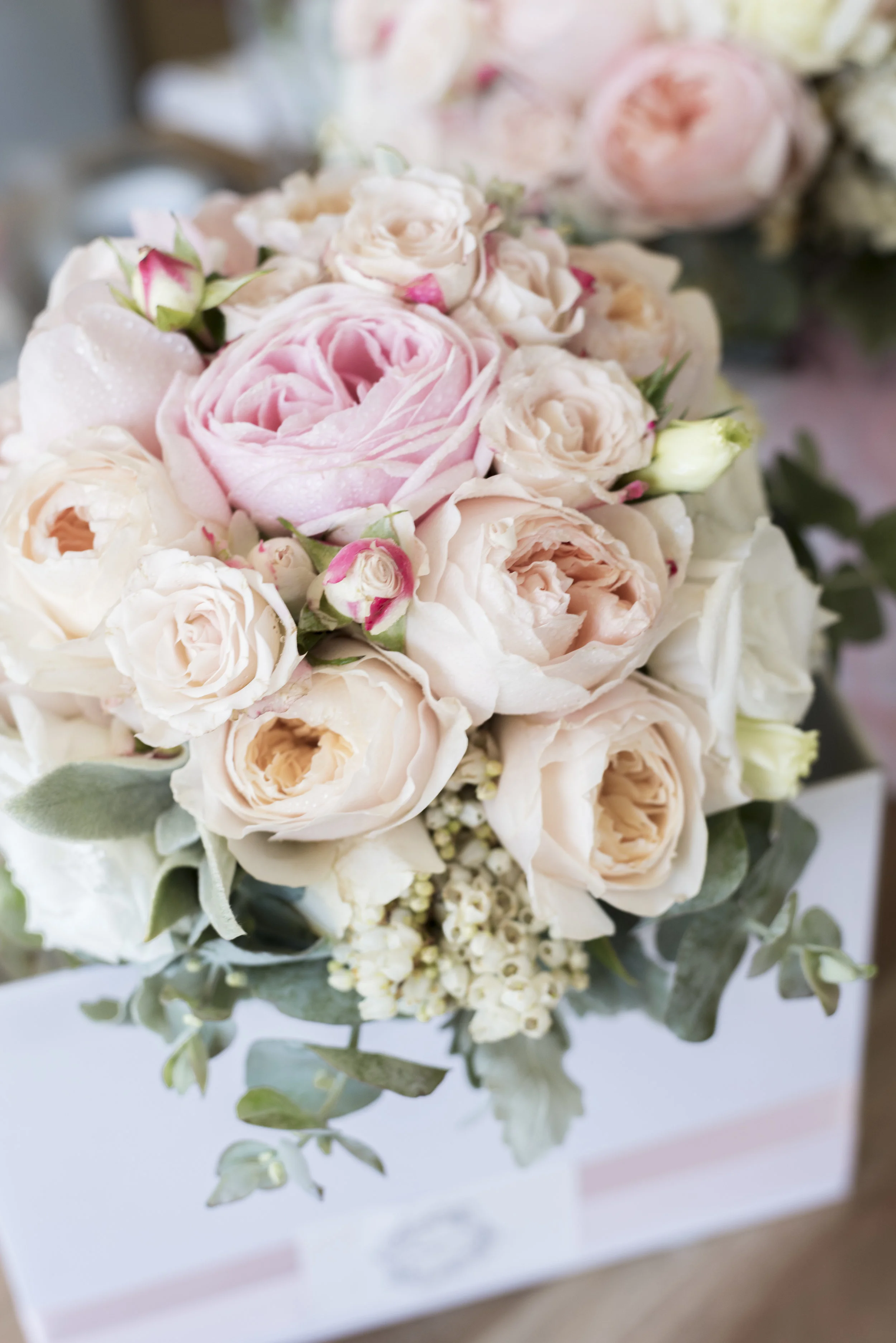 Teagan_Mayflower Weddings Photography_002.jpg