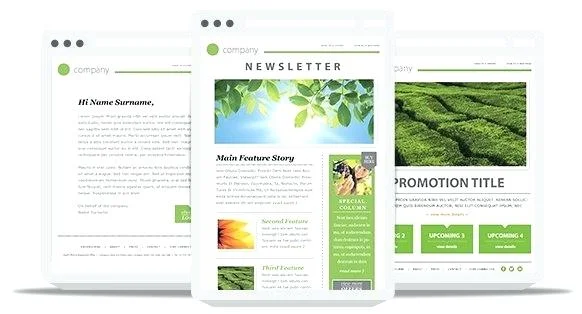 Digital Newsletters