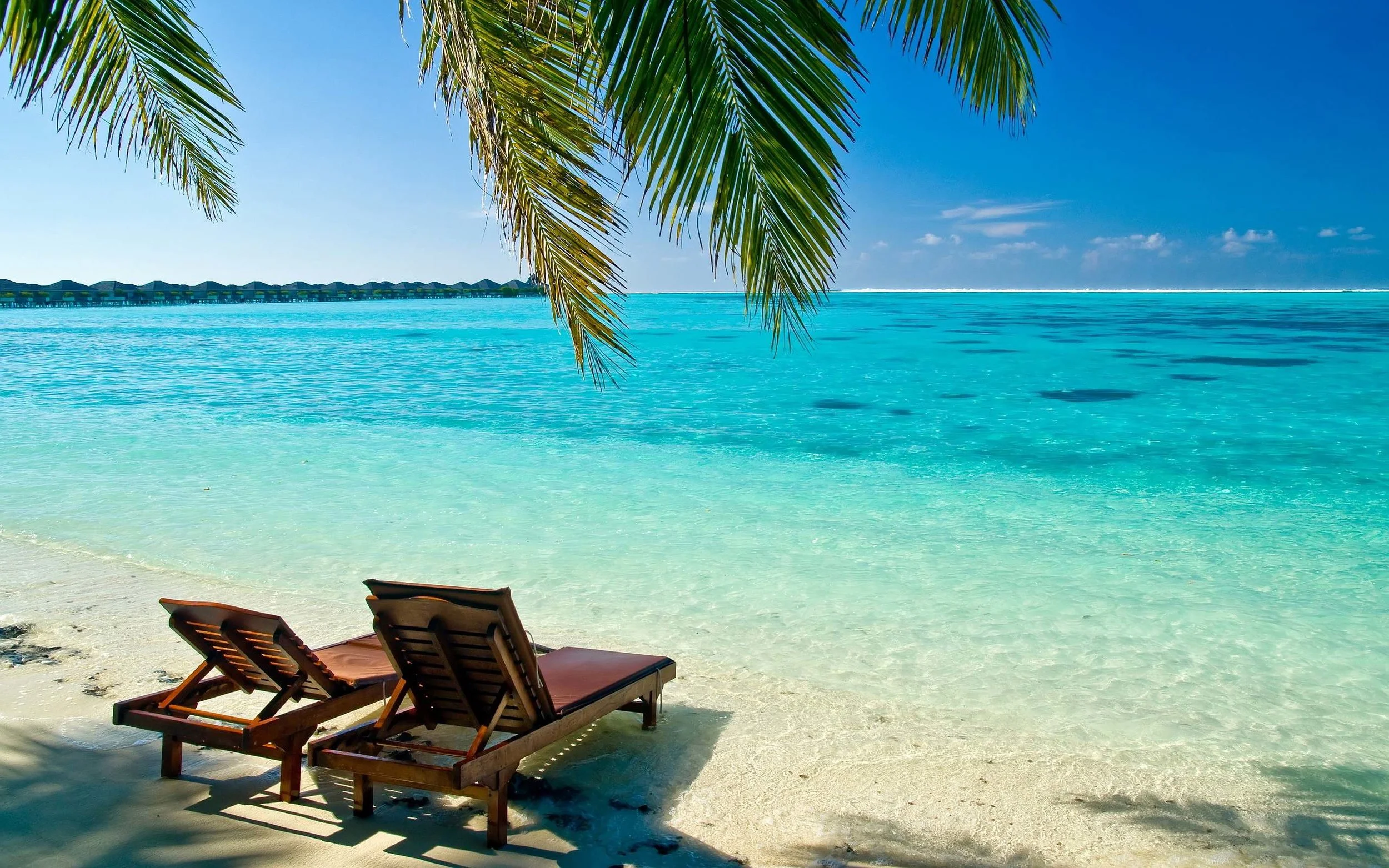 Tropical Beach.jpg