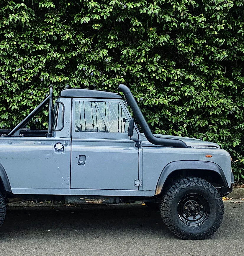 shark fin snorkel.jpeg