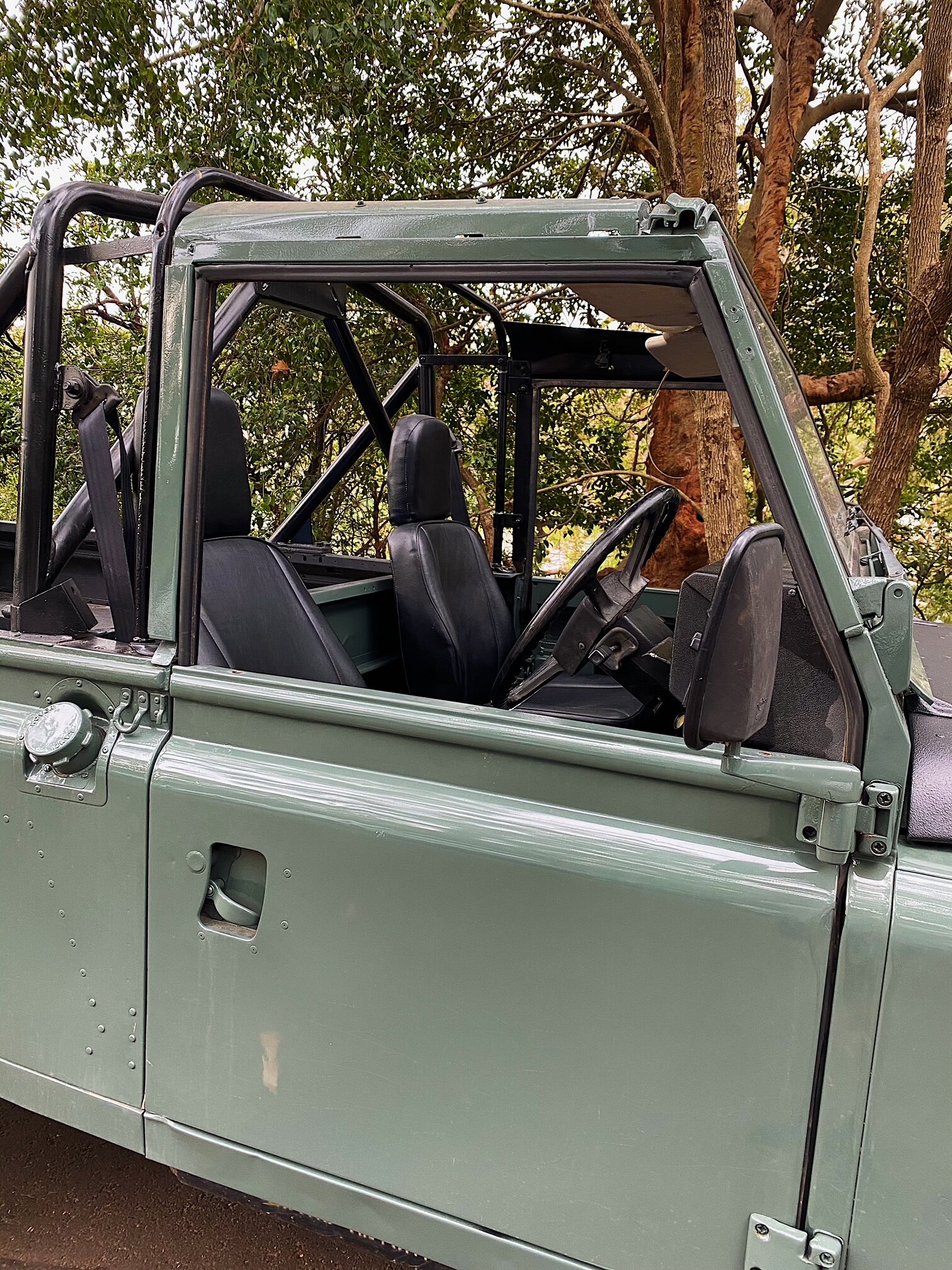 Perentie interior.jpg