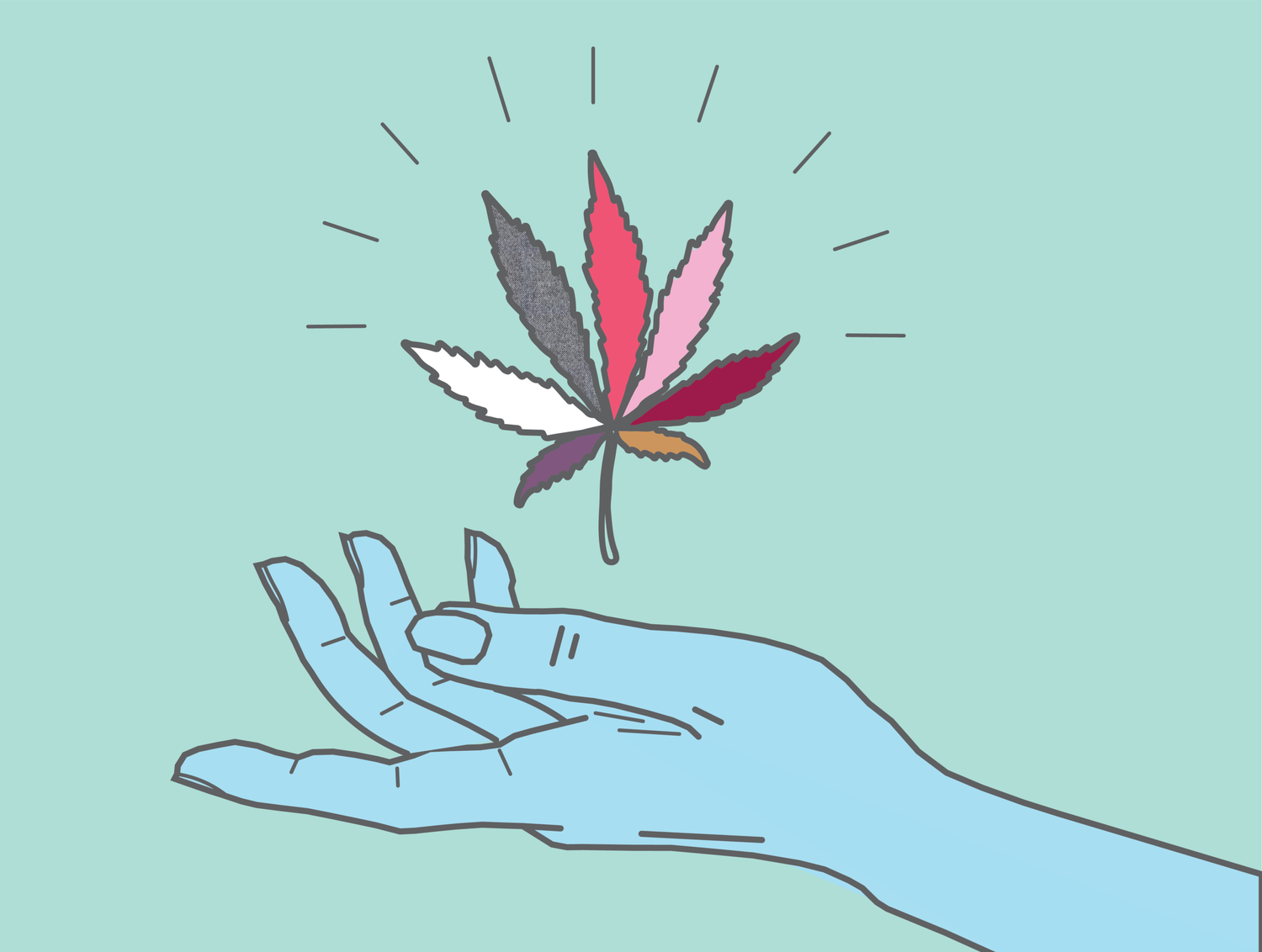 Cbd Visual What is CBD? Find out more about Cannabidiol — PROOF
