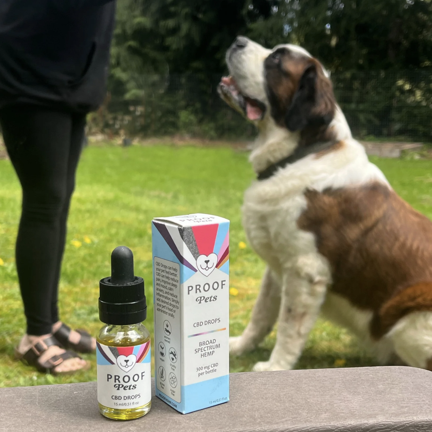 Dog sitting for owner giving Proof Pets CBD Drops