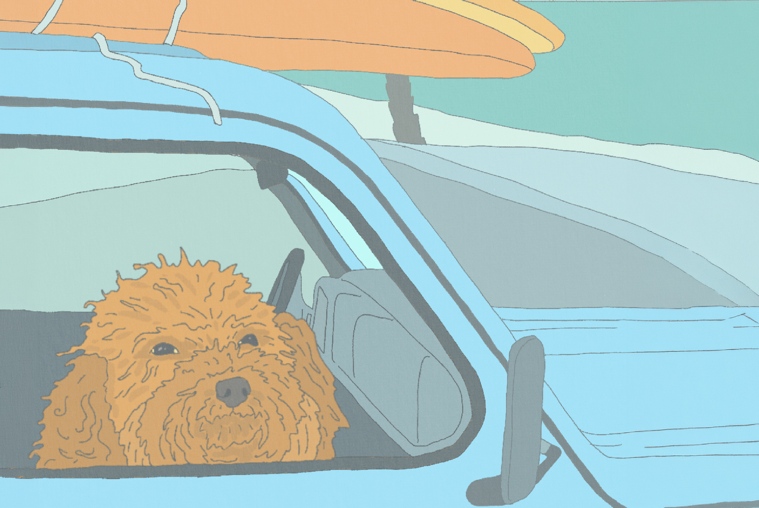 A New Era of Compliance: What Retailers Need to Know About California’s New Animal Cannabis Rules