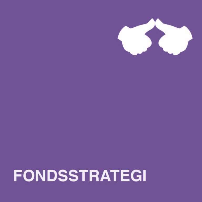 ikon_Fondsstrategi.jpg