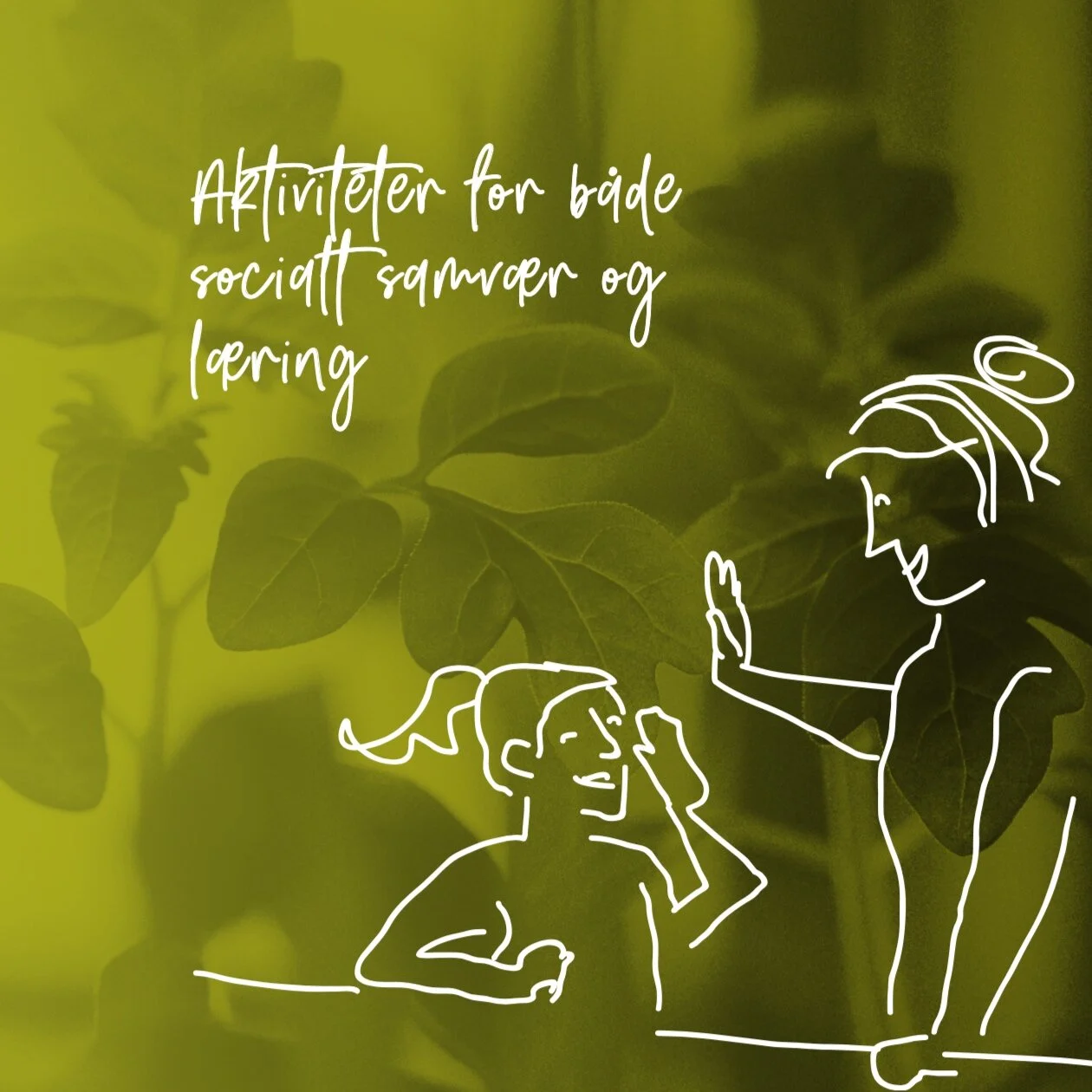 Planlægning af crowdfunding til Almas Intelligente Have