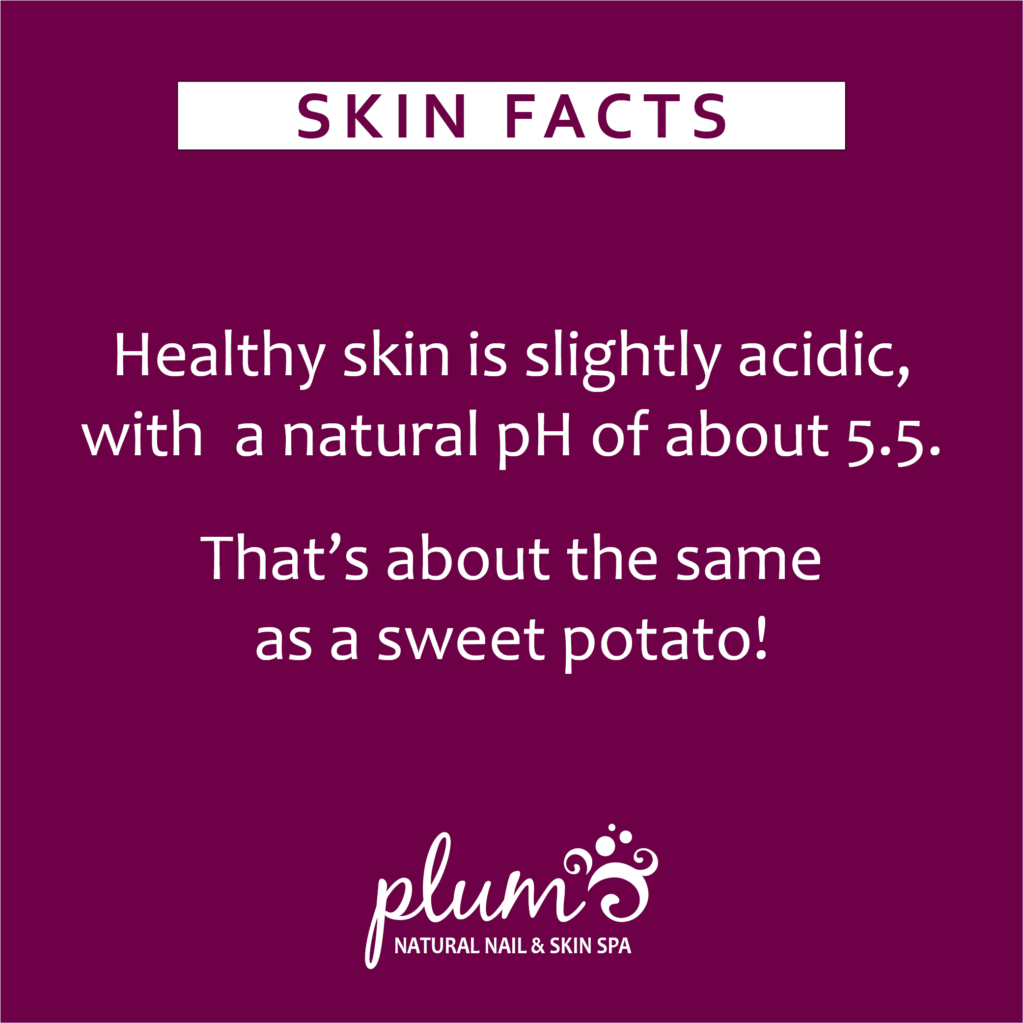 skin fact 1.png